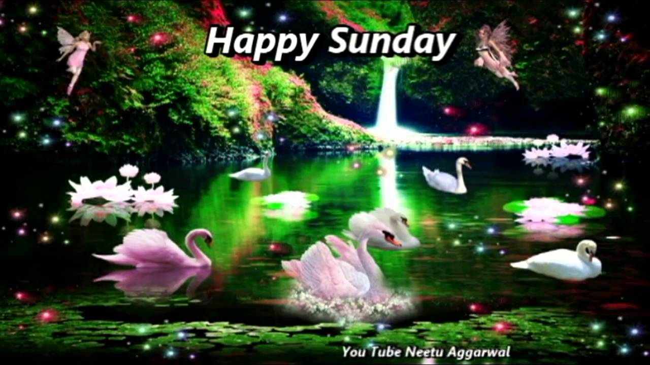 1280x720 Happy Sunday Wishes, Greetings, E Card, Wallpaper, Whatsapp Video