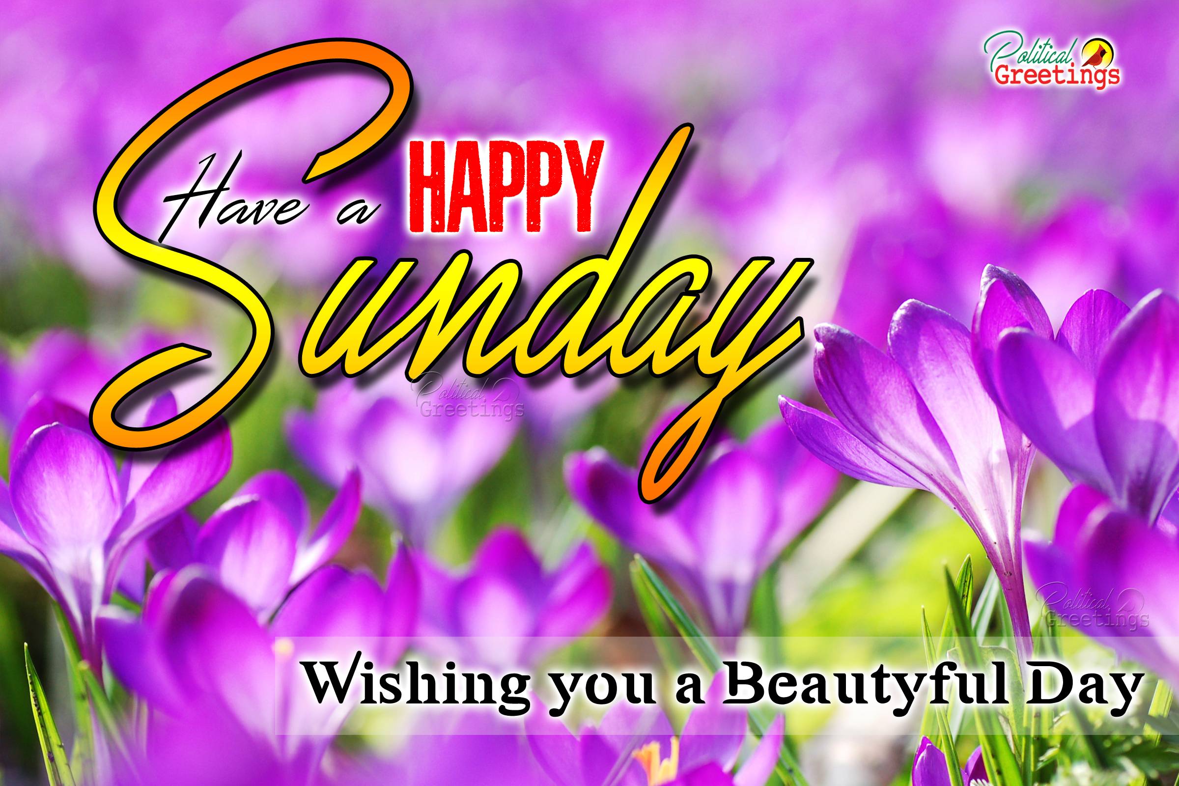 Happy Sunday Wallpapers - Top Free Happy Sunday Backgrounds ...