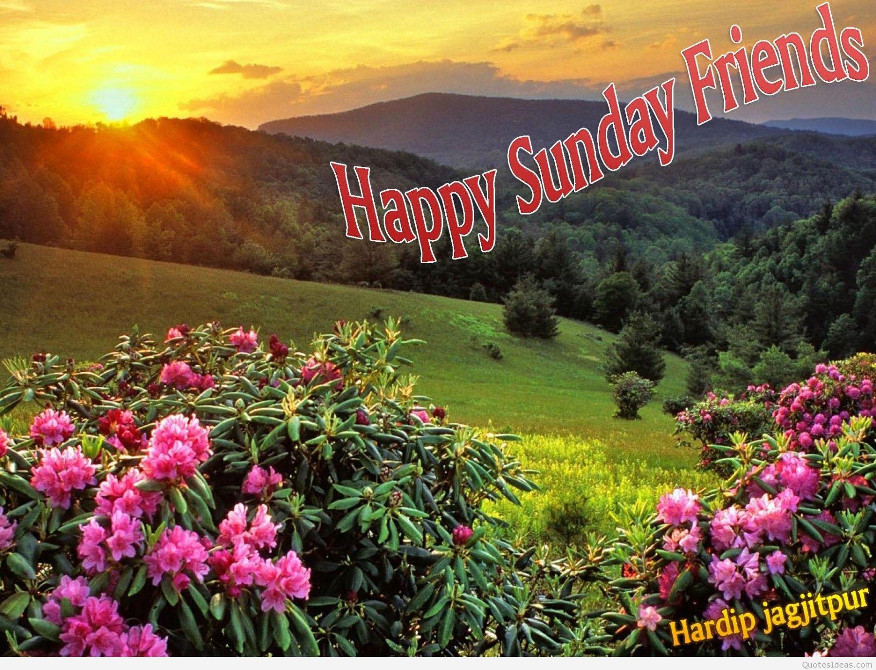 1800x1377 Happy sunday happy sunday morning wishes, sayings, cards hd