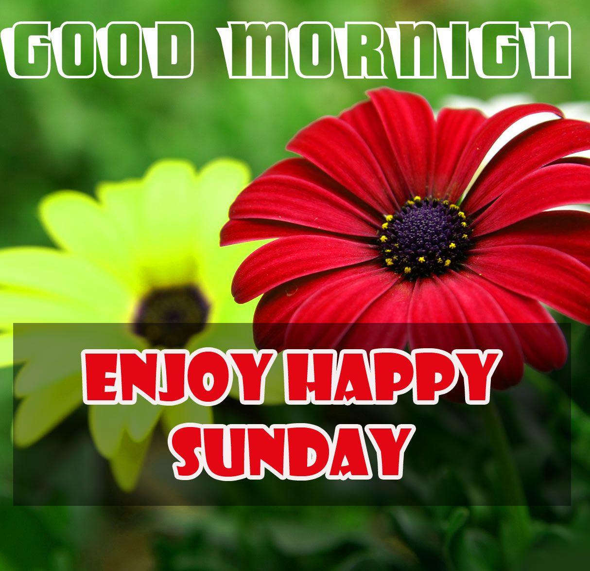 Happy Sunday Wallpapers Top Free Happy Sunday Backgrounds