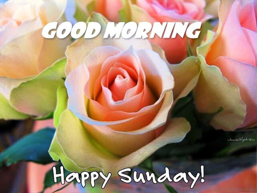 1024x768 Sunday Good Morning Wishes