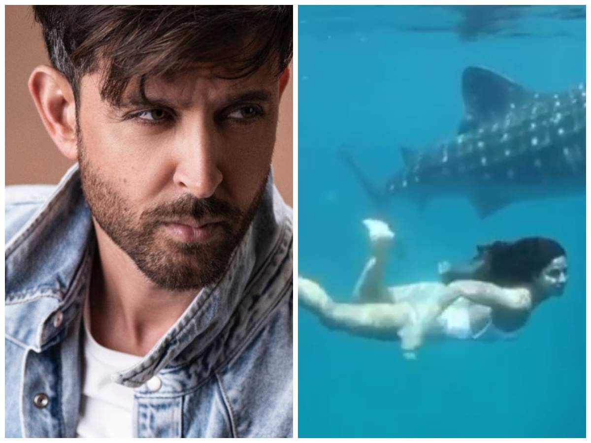 1200x900 Hrithik Roshan Is Impressed By His 'Zindagi Na Milegi Dobara' Co Star Katrina Kaif's Deep Sea Diving Video. Hindi Movie News Of India