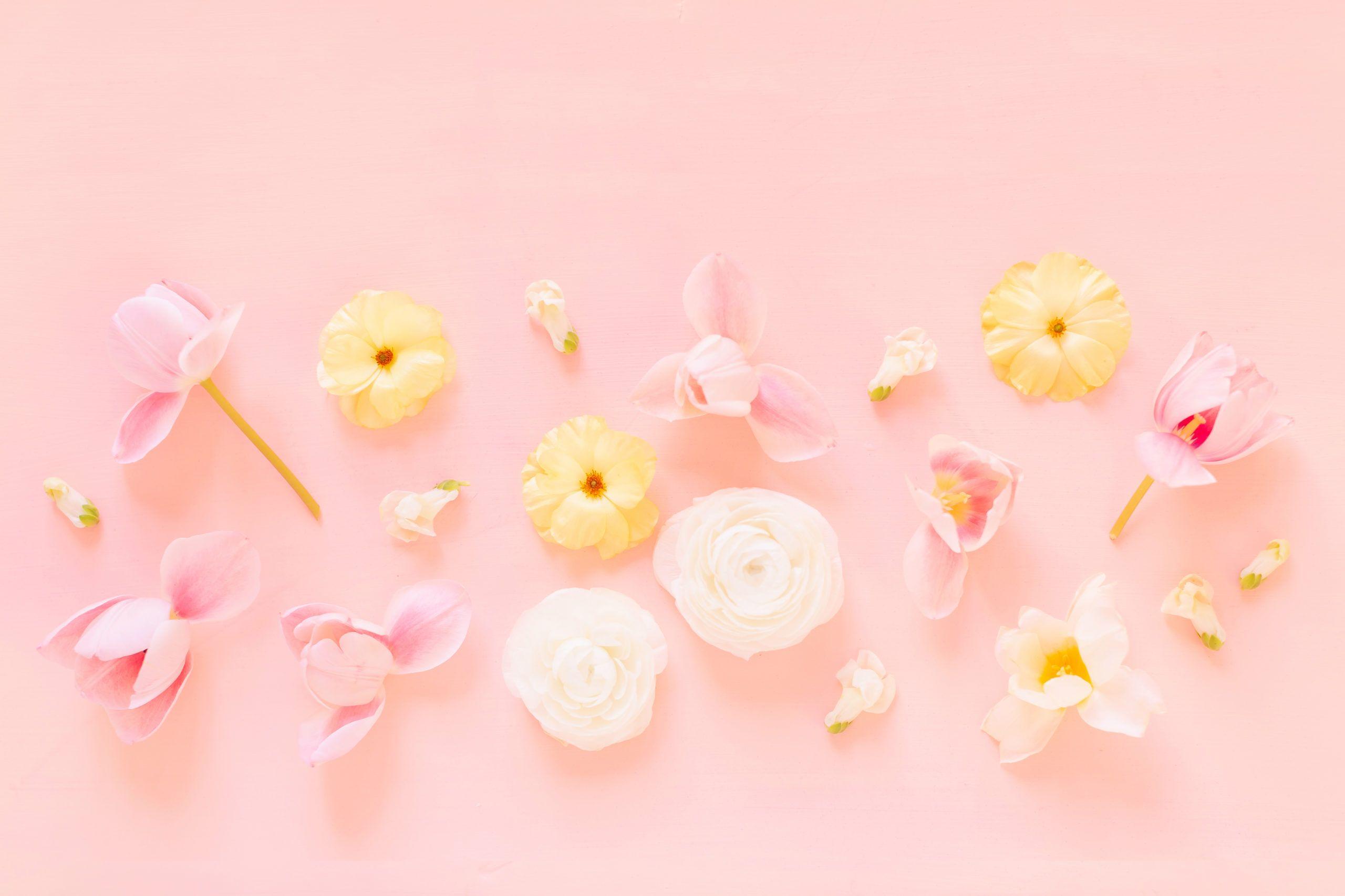 Pastel Pink Flower Desktop Wallpapers - Top Free Pastel Pink Flower Desktop Backgrounds