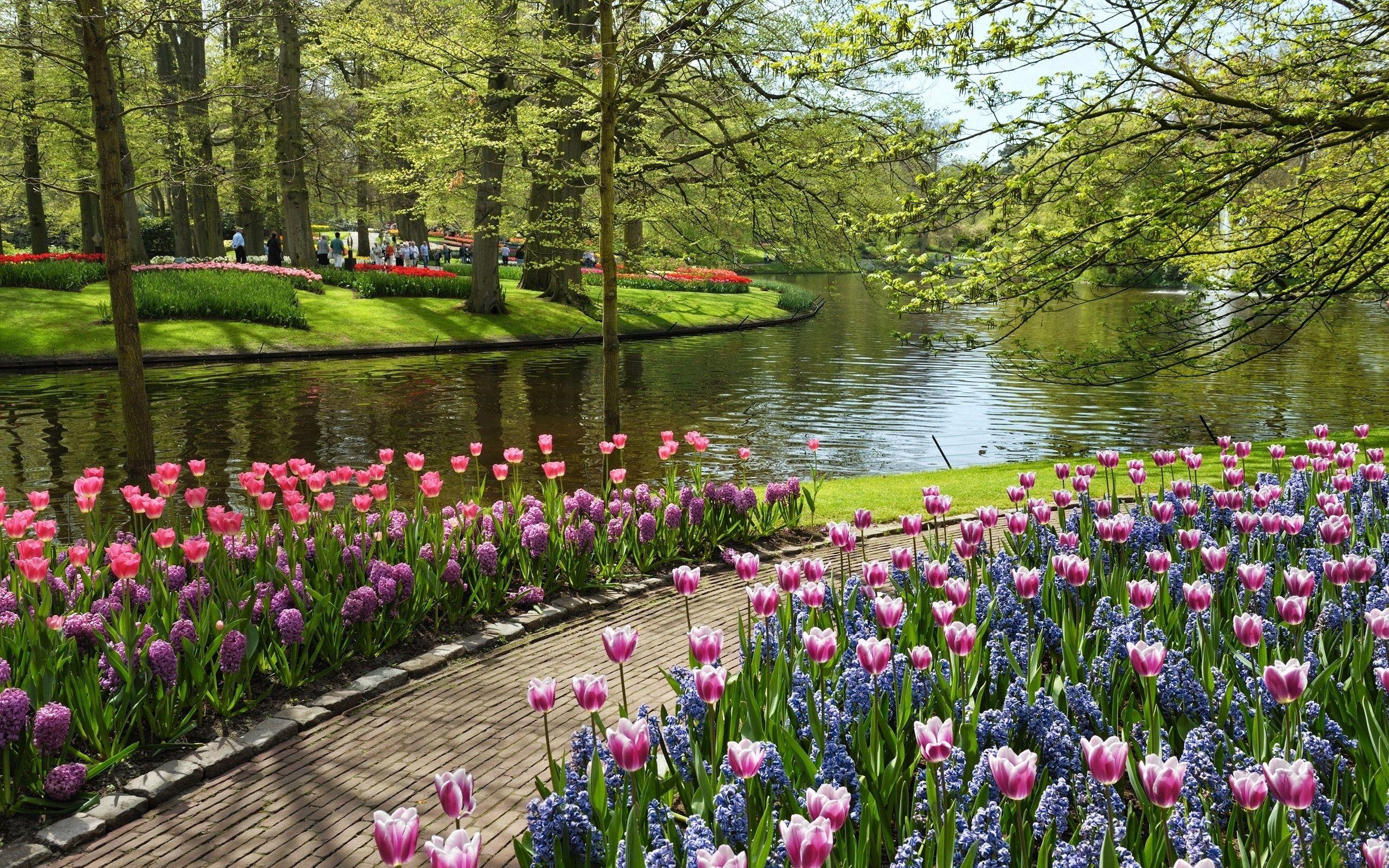 2560x1600 Garden Wallpaper