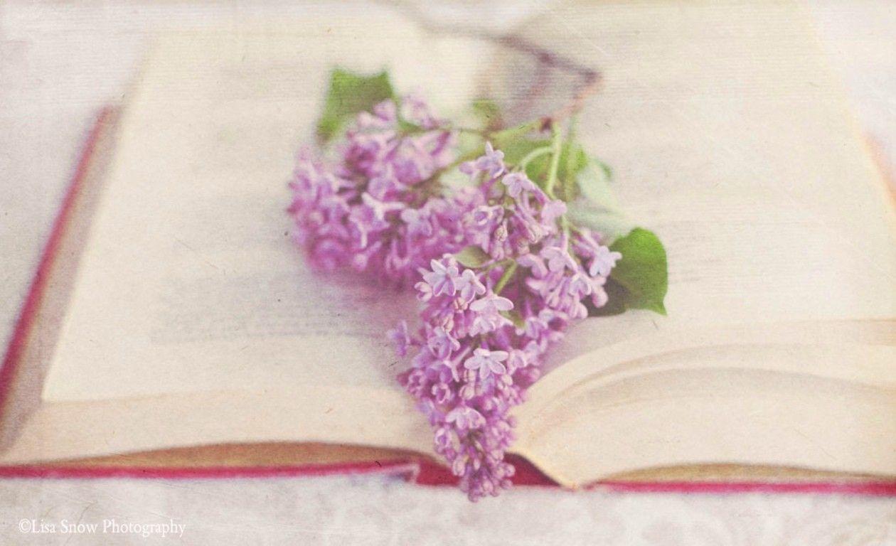 1260x768 Flowers: Soft Book Lilacs Pastel Flower HD Image Wallpaper for HD 16