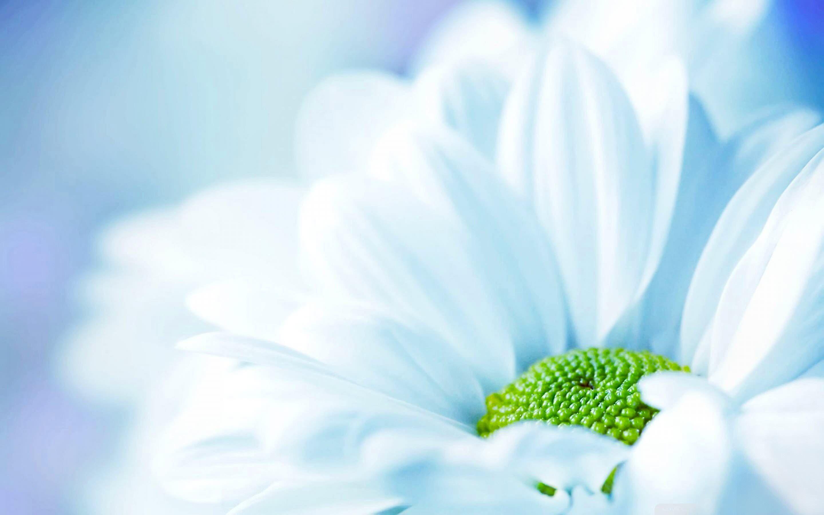 2880x1800 Pastel Wallpaper HD