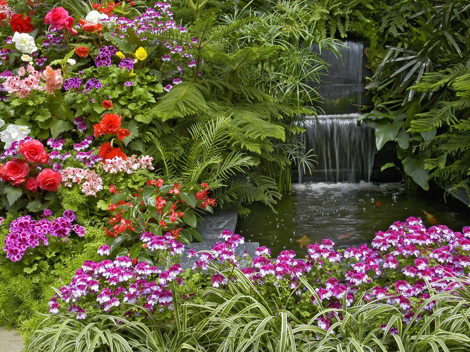 1600x1200 Widescreen Beautiful Nature Flowers Garden With HD Of Computer Home