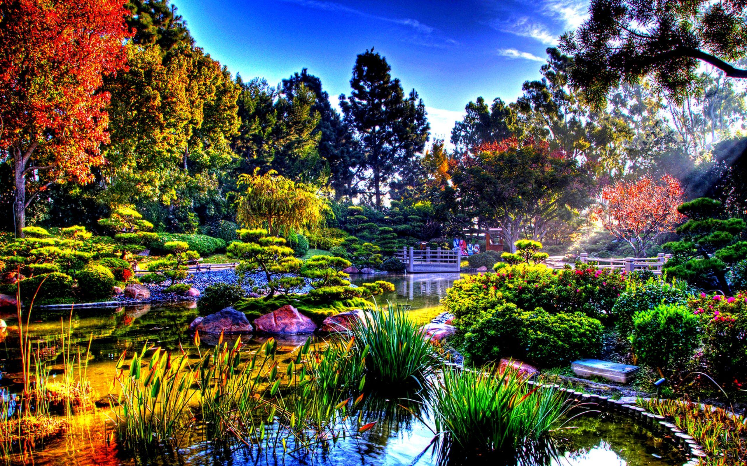 2560x1600 Scenic Computer Background