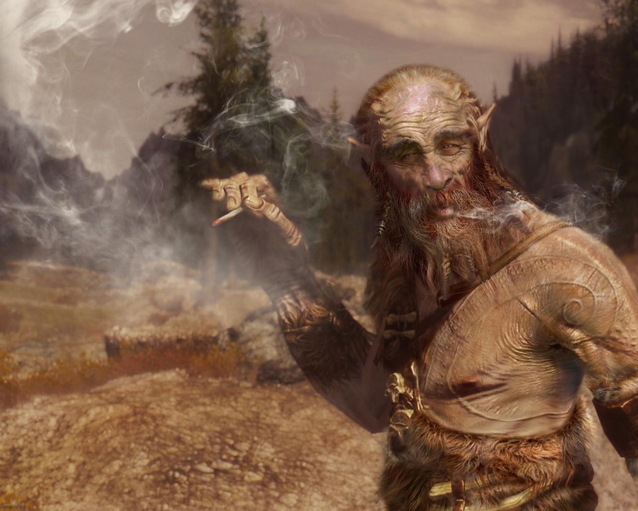 1280x1024 Elder scrolls v: skyrim joint dragonborn tundra wallpaper