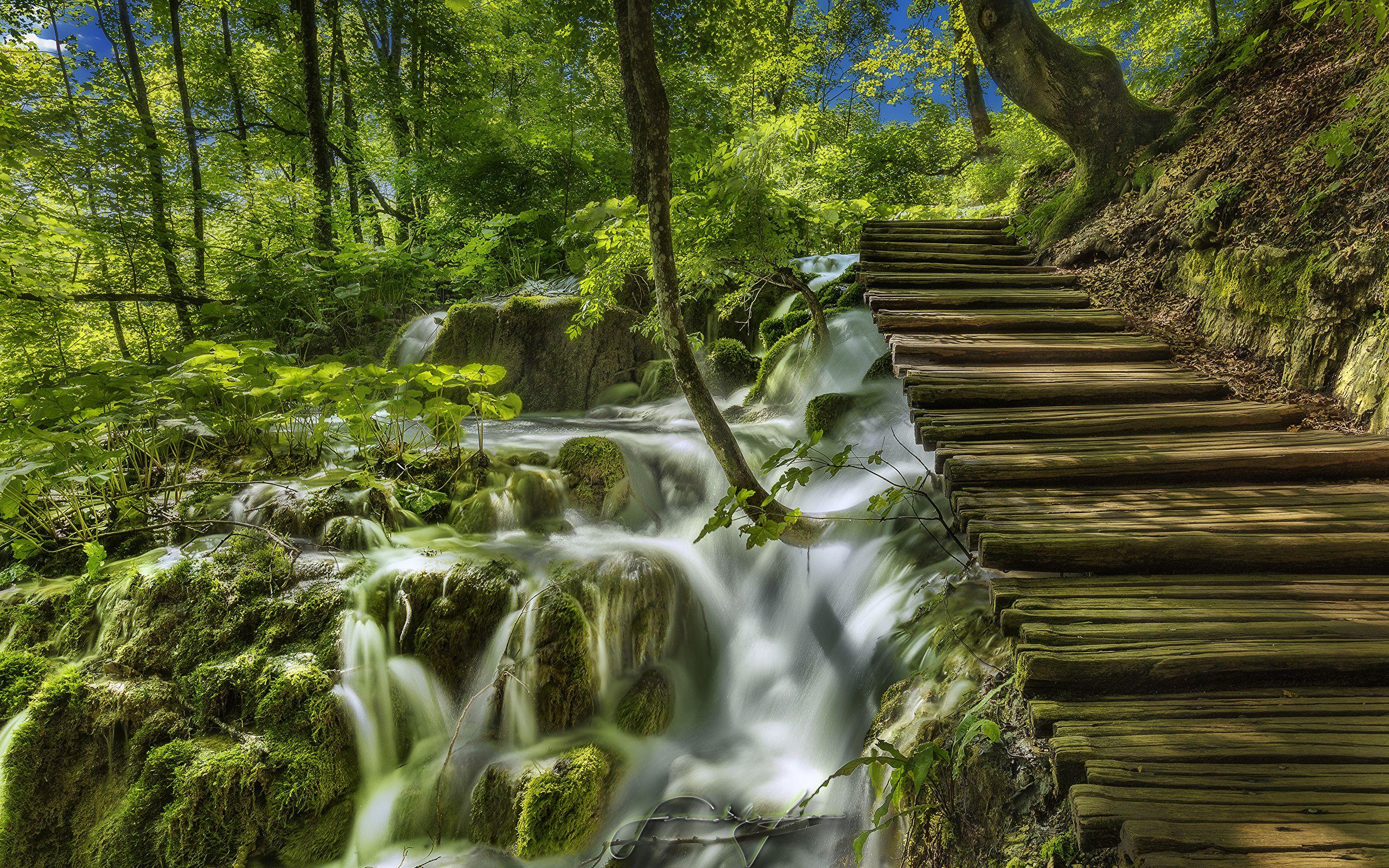 2560x1600 Photo Croatia Plitvice Lakes National Park Nature Bridges 2560x1600