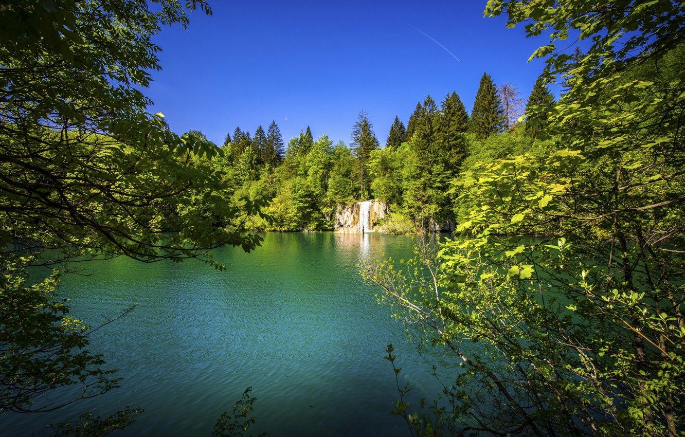 1332x850 Wallpaper forest, trees, waterfall, Croatia, Croatia, Plitvice lakes, Plitvice Lakes National Park, National Park Plitvice lakes, lake image for desktop, section пейзажи