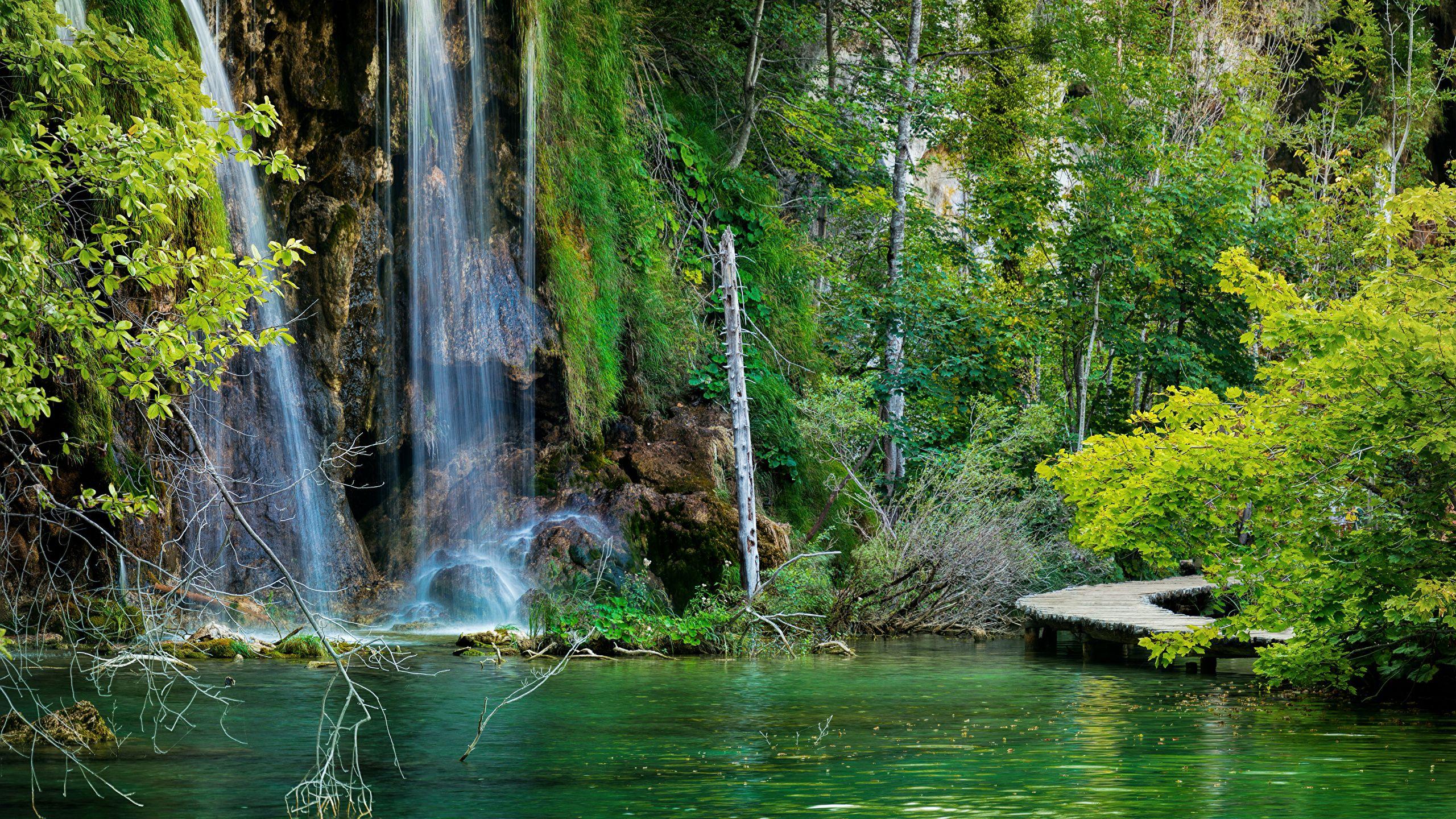 2560x1440 image Croatia Plitvice Lakes National Park Nature 2560x1440