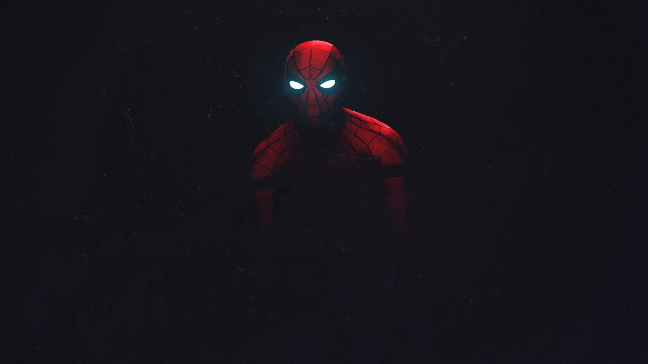 2560x1440 Wallpaper Iron Spider, Spider Man, Dark Background, HD, Black Dark,. Wallpaper For IPhone, Android, Mobile And Desktop