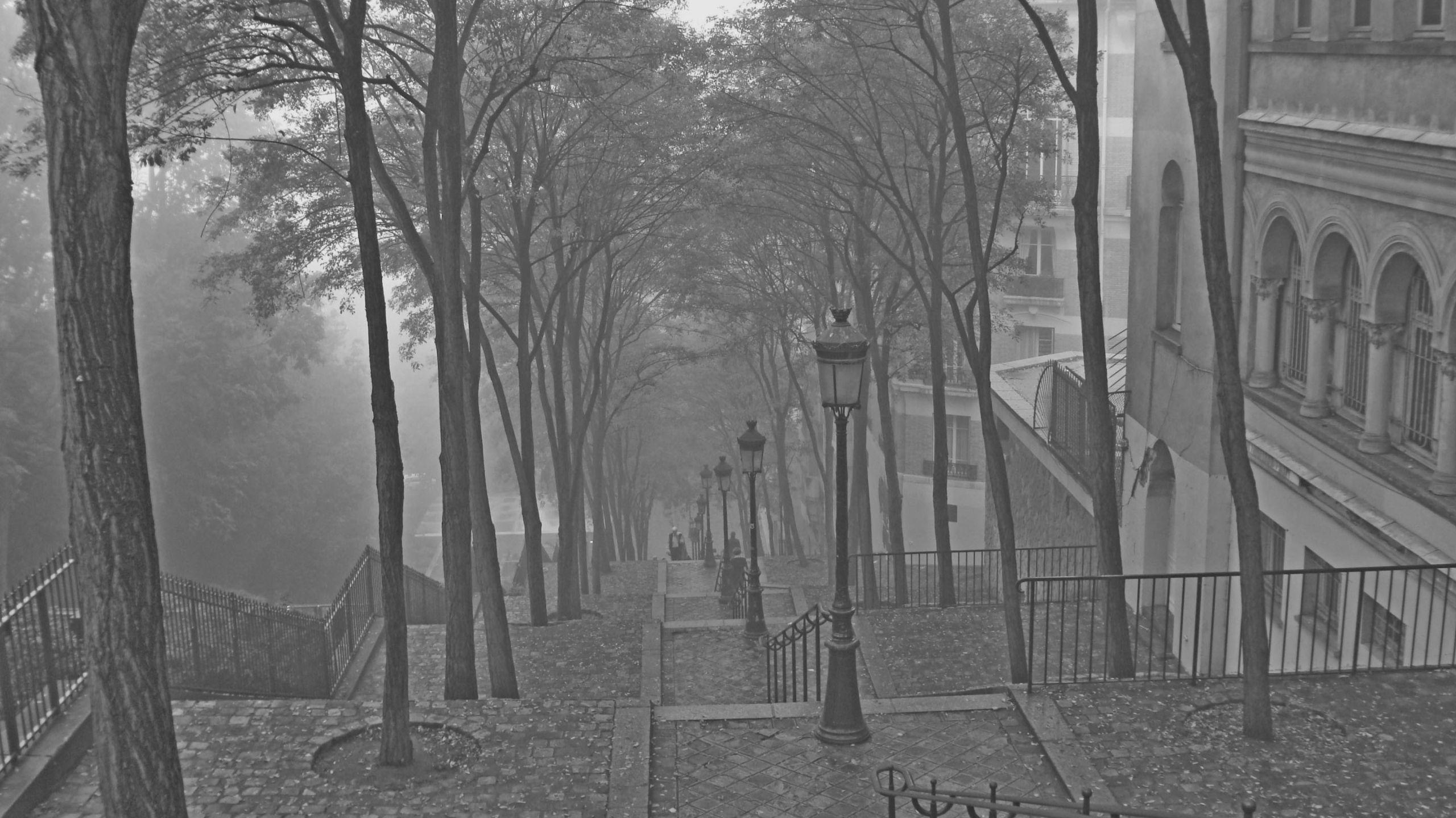 2560x1440 Montmartre In Fog MacBook Air Wallpaper Download