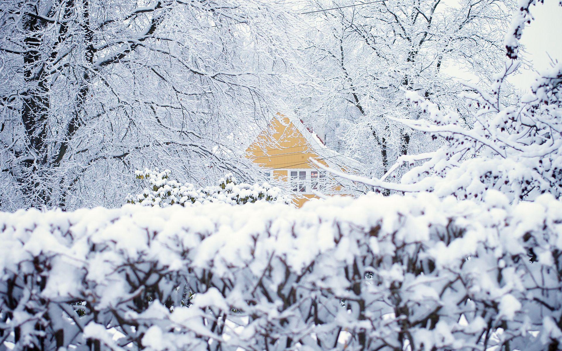 1920x1200 Norway Oslo winter snow house trees wallpaperx1200