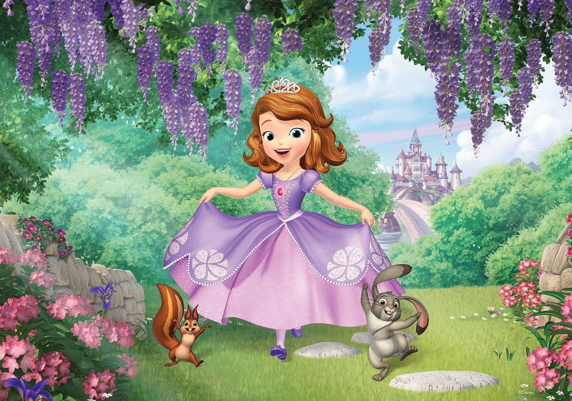 Caroline Stevenson Legende Princess Sofia Wallpapers - Top Free Princess Sofia Backgrounds -  WallpaperAccess