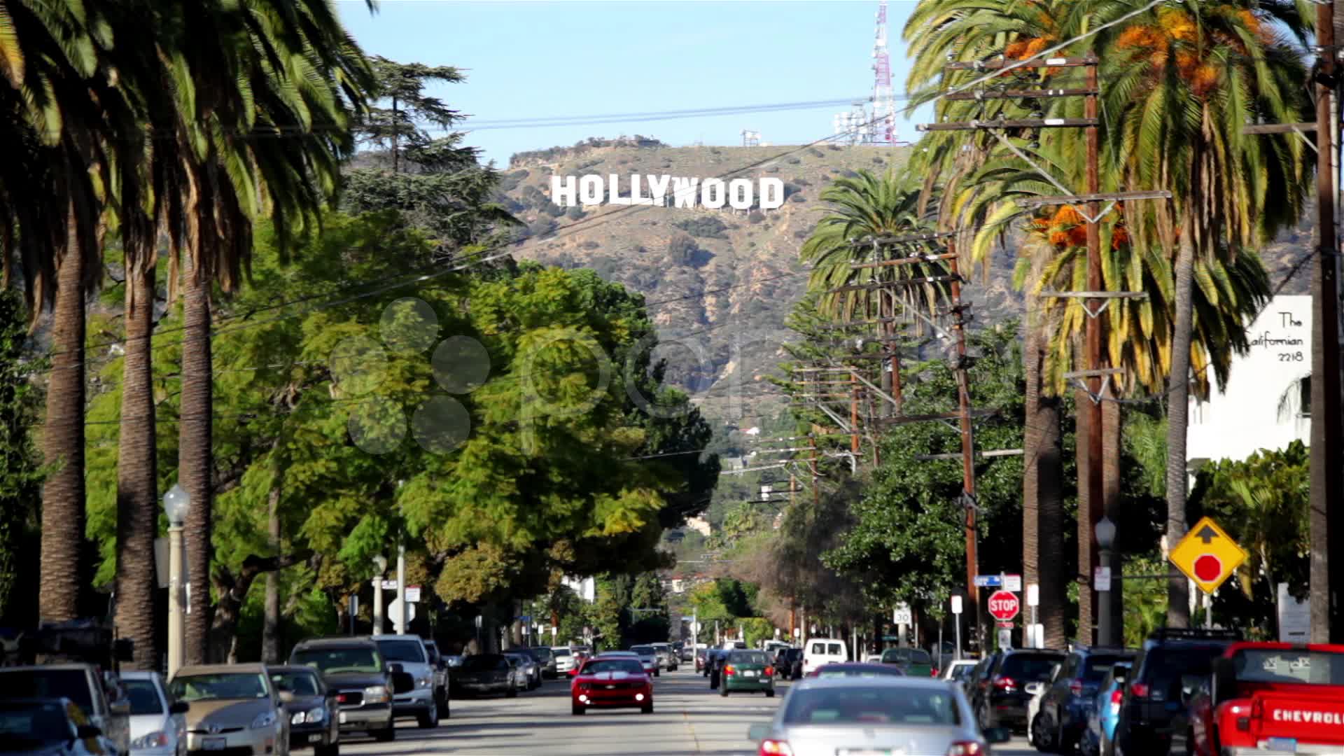 1920x1080 Free download Cool Hollywood Sign Wallpaper Hollywood sign 12 HD [1920x1080] for your Desktop, Mobile & Tablet. Explore Hollywood Hills Wallpaper. New Movie Wallpaper, Hollywood Wallpaper Desktop, Latest Hollywood Wallpaper