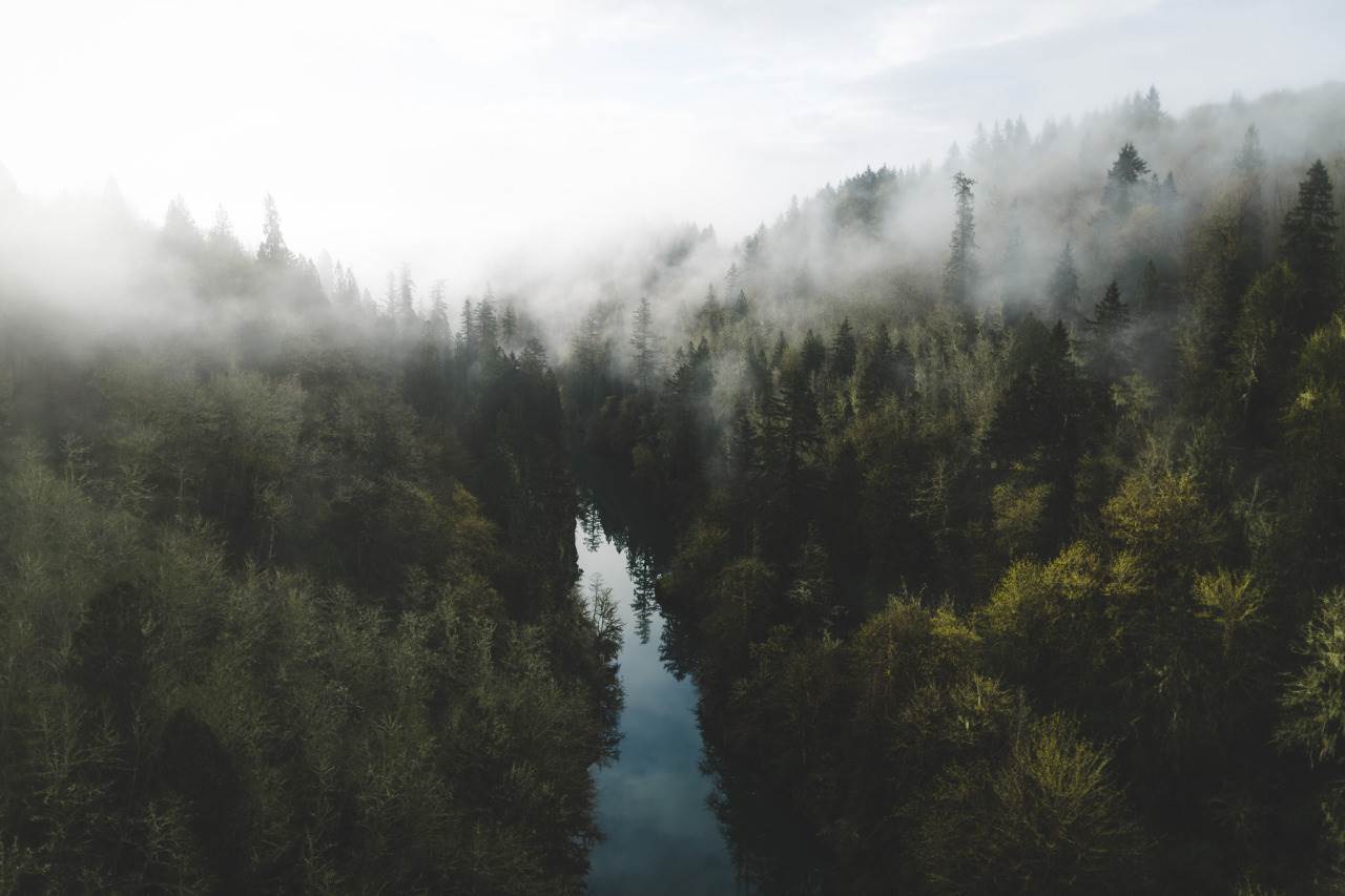 Landscape Photos Of Pacific Northwest Mountains