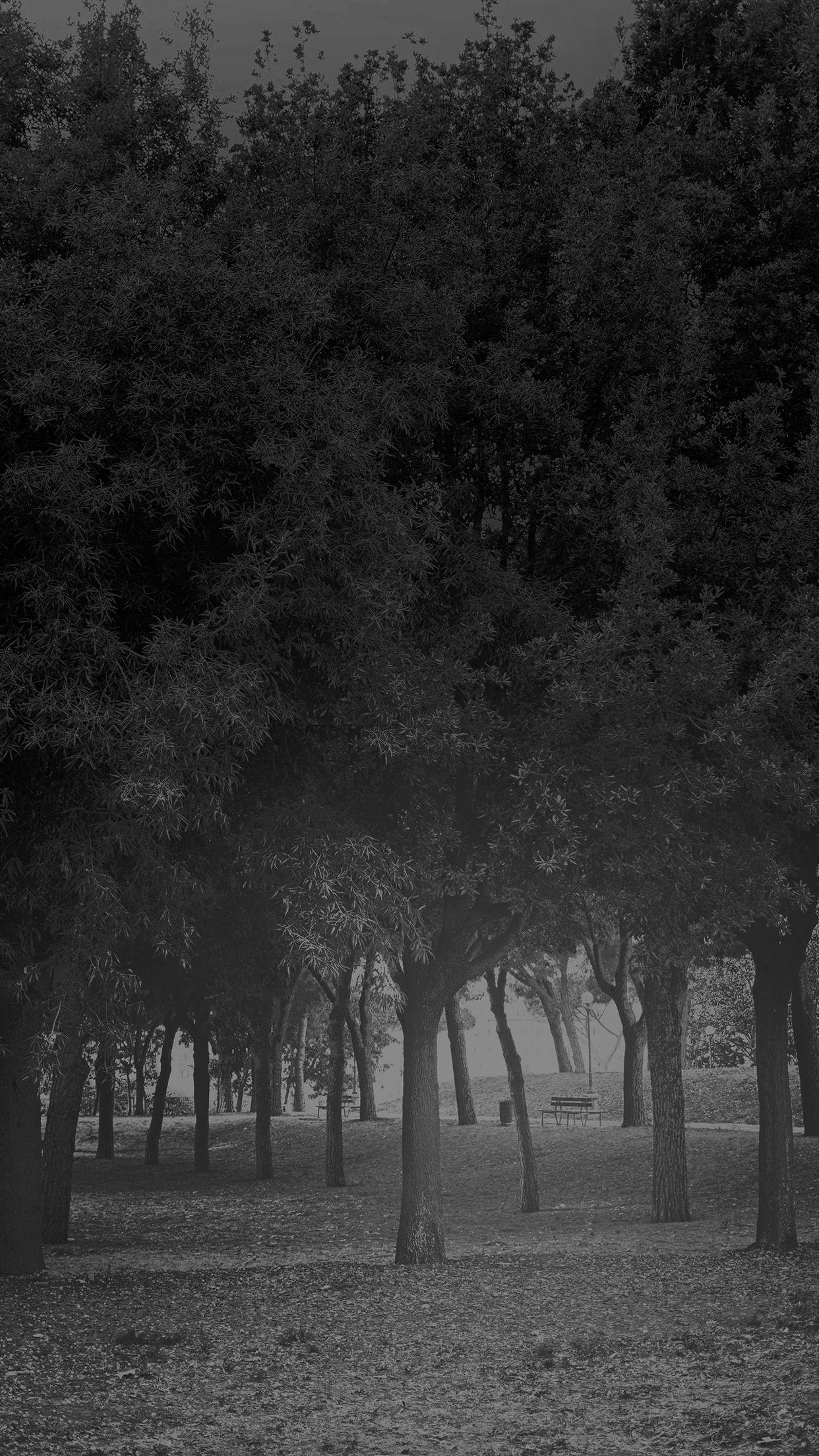 1242x2208 Tree Wood Grass Garden Dark Sun Light Nature Bw Android wallpaper HD wallpaper