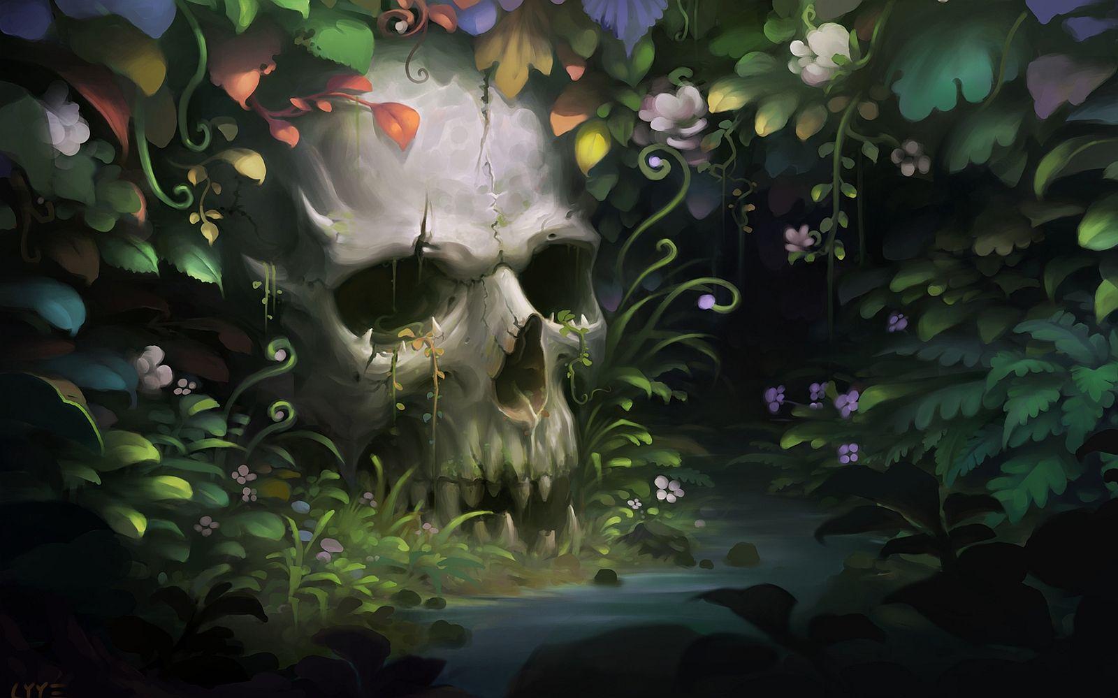 1600x999 Skull Laptop Background. Skull Wallpaper, Awesome Skull Wallpaper and Amazing Skull Wallpaper