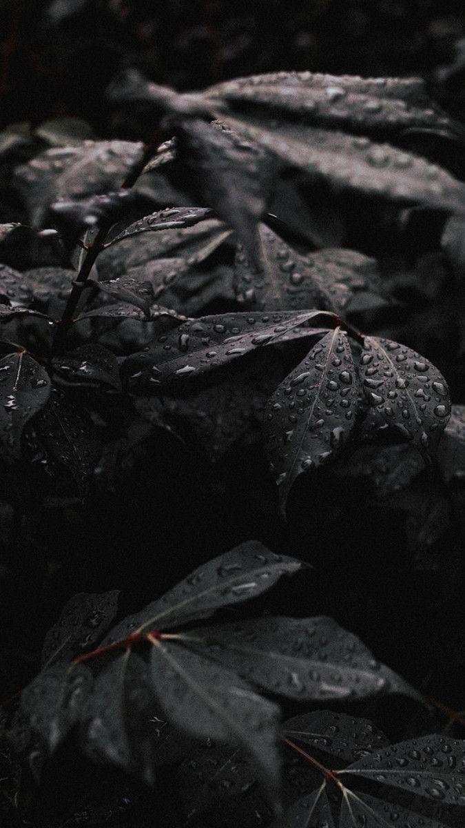 675x1200 Wallpaper That Will Look Perfect On Your iPhone. Black aesthetic wallpaper, Black wallpaper, Dark wallpaper