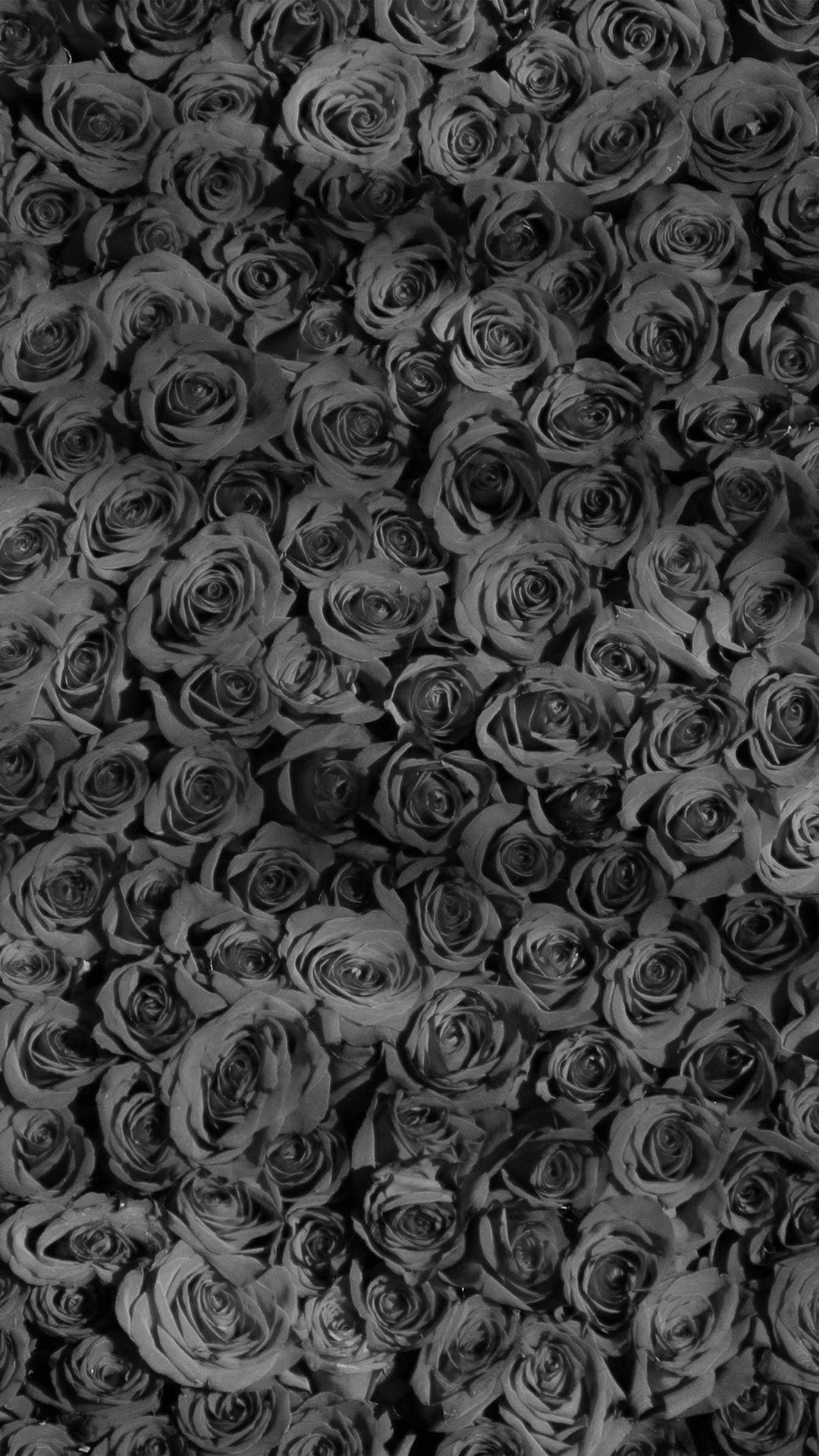 1080x1920 Free download the Rose Dark Bw Pattern Background wallpaper , beaty your iphone. #nature. Grey wallpaper iphone, iPhone wallpaper vintage, Nature iphone wallpaper