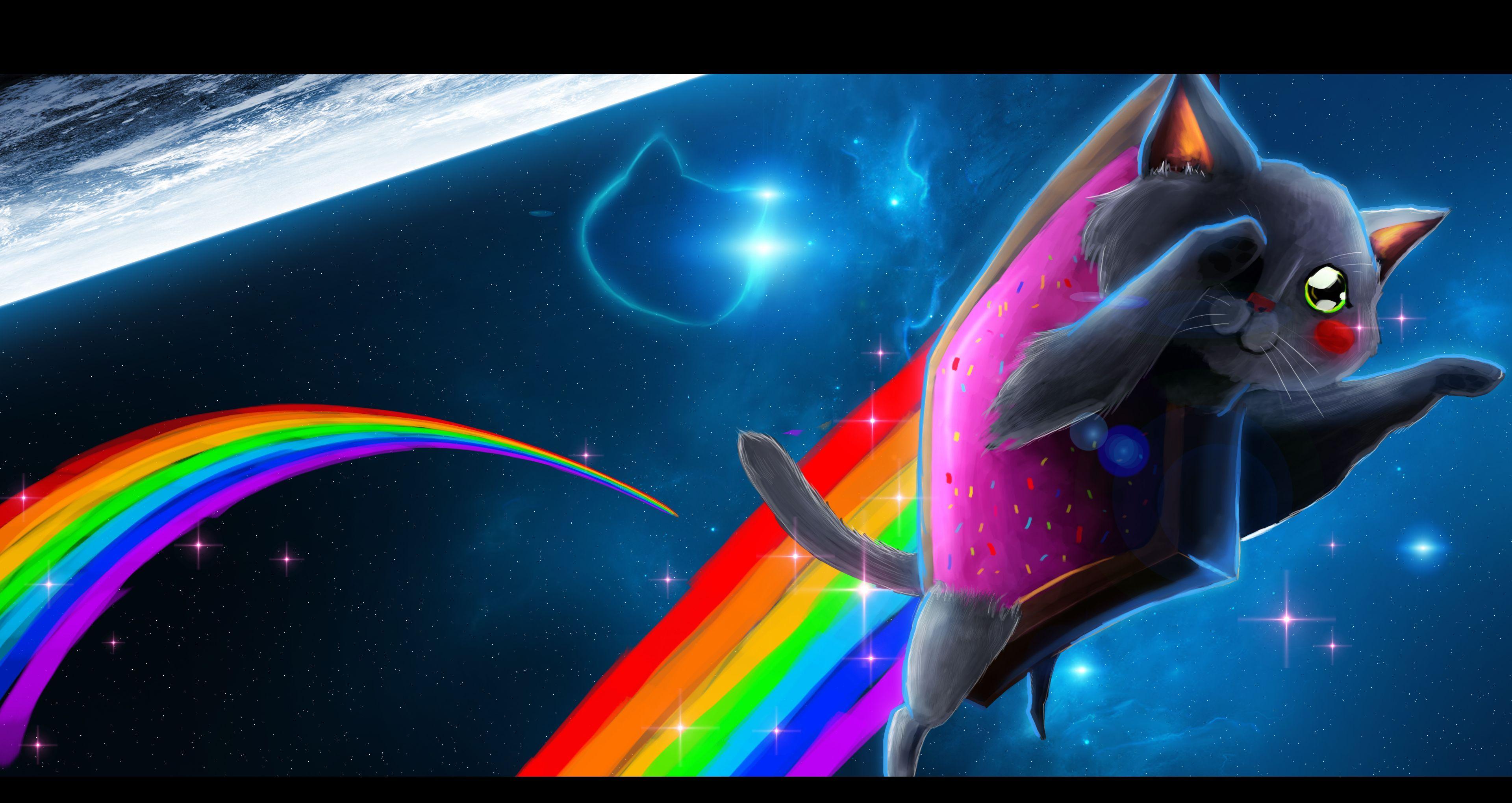 Nyan Nyan Cat cute pop tarts nyan rainbow cat HD wallpaper  Peakpx