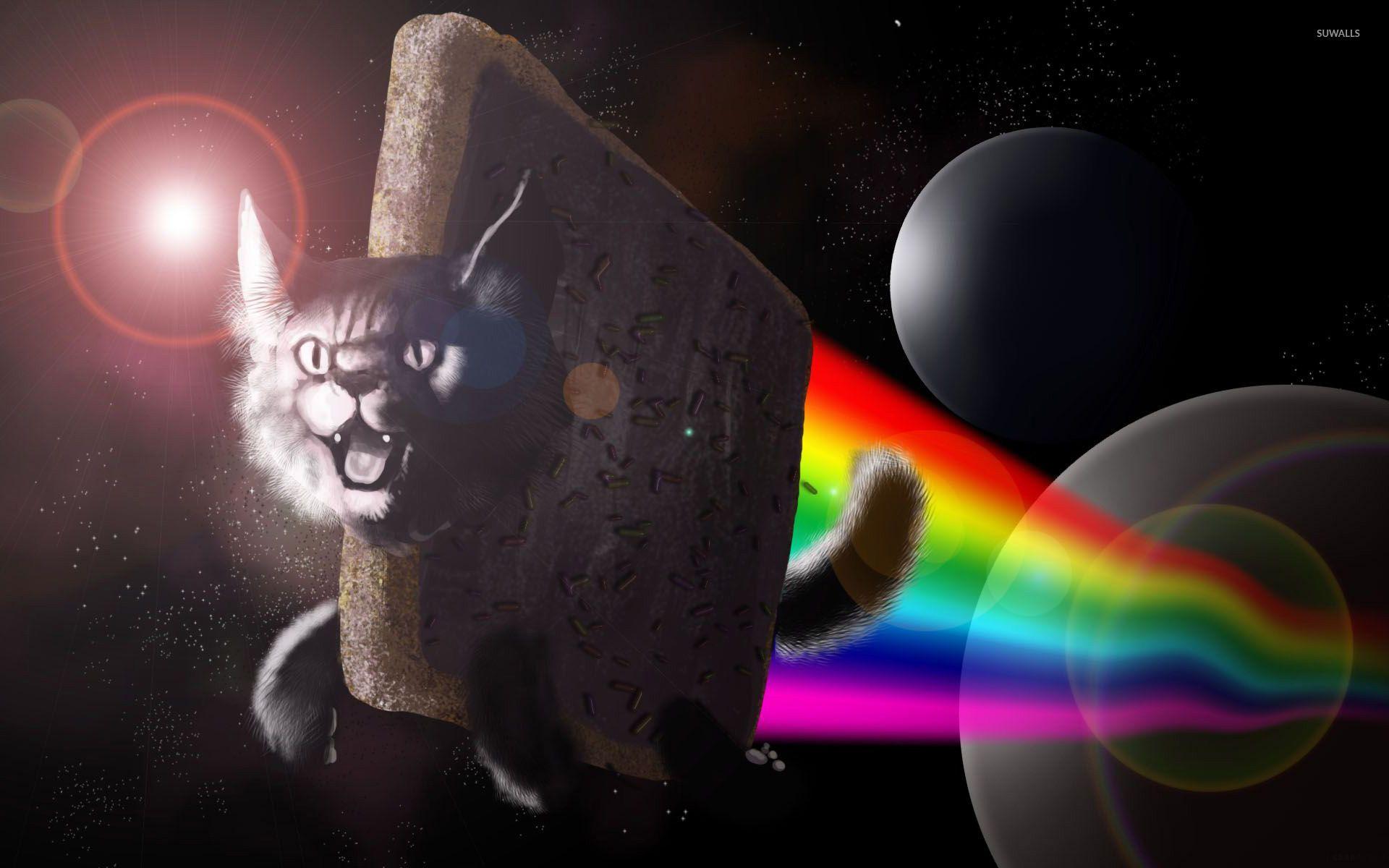 1920x1200 Nyan Cat [6] wallpaper wallpaper