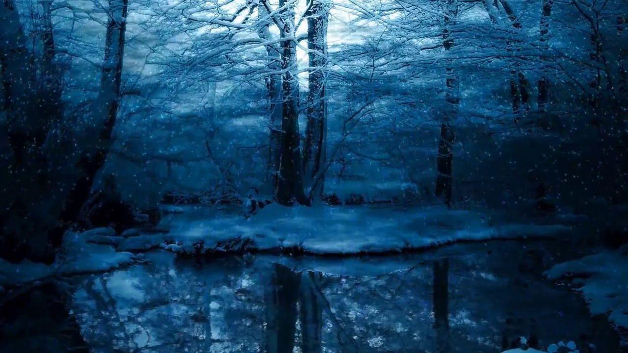 1280x720 beautiful, snow, winter forest photography&video background. Snowy forest, Winter forest, Forest wallpaper