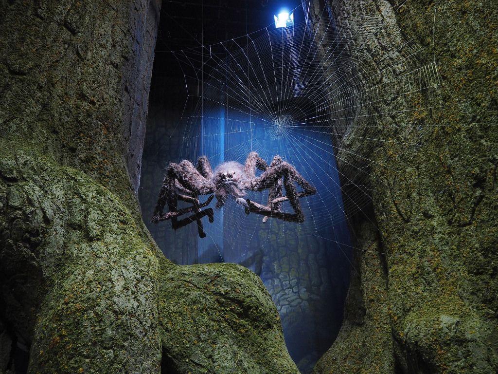 Harry Potter Forest Wallpapers Top Free Harry Potter Forest