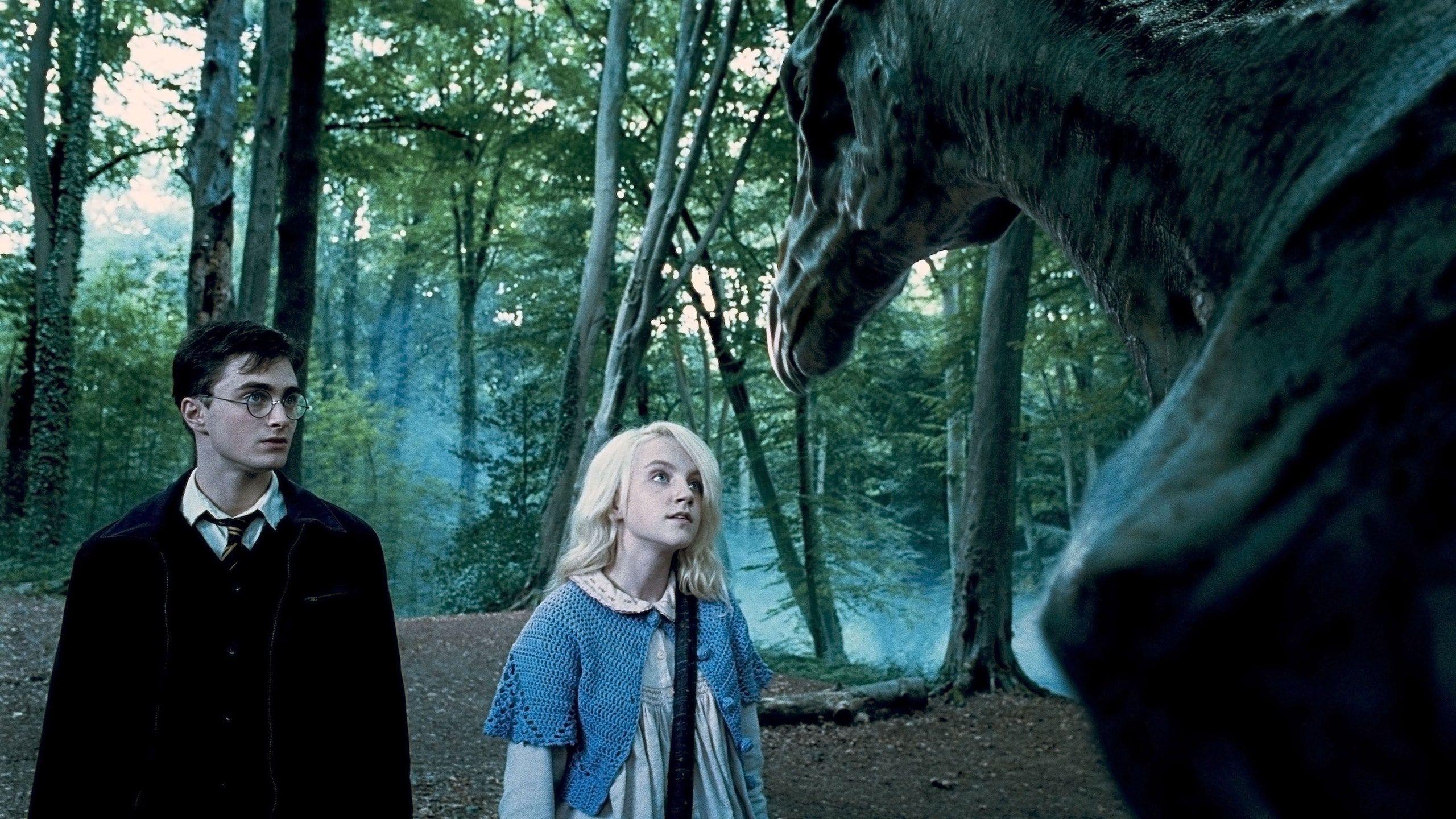 2560x1440 Harry Potter' Cast Members Have Been Hanging Out In the Forbidden Forest