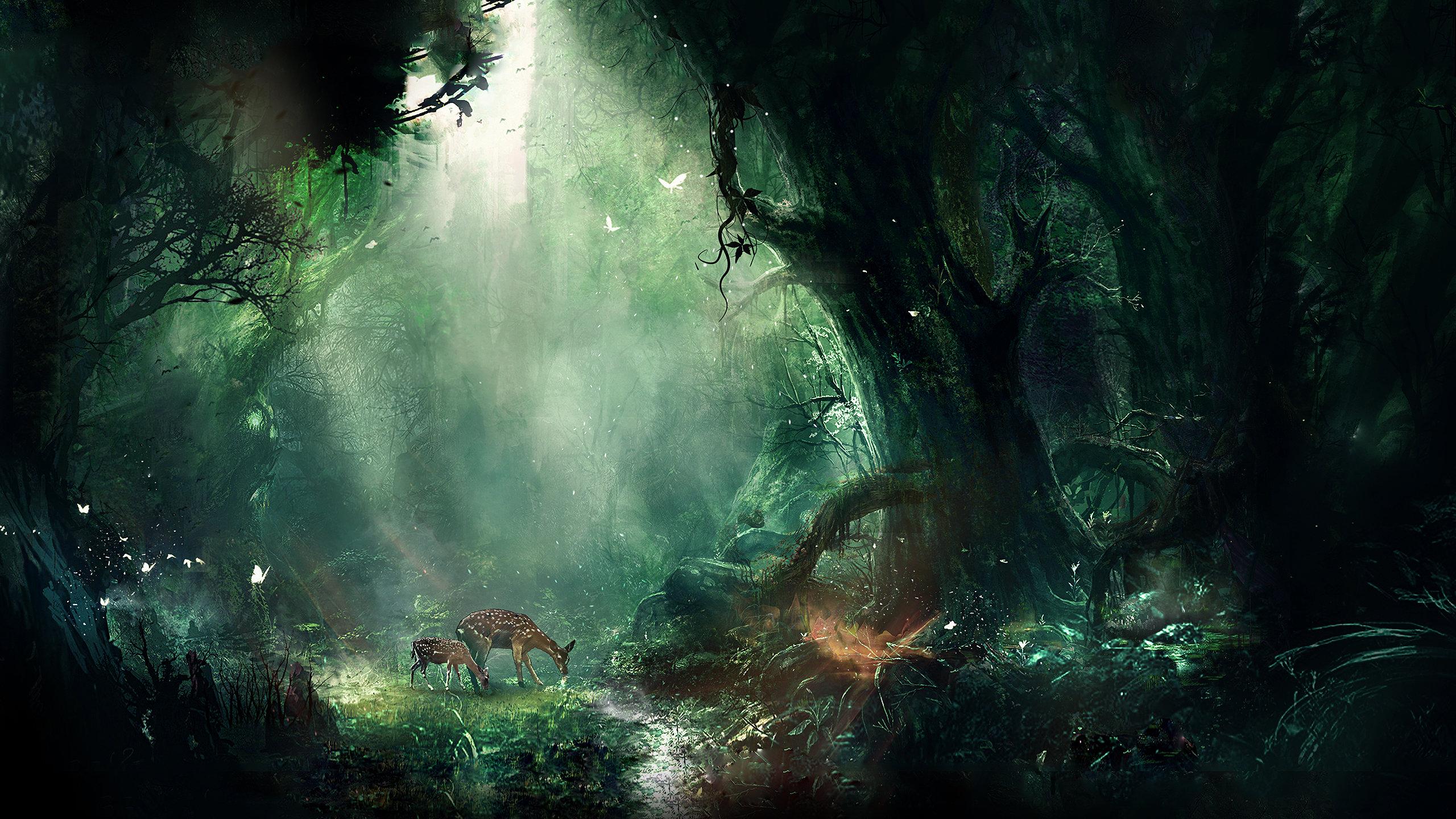 2560x1440 Fantasy forest wallpaper 2560x1440 desktop background