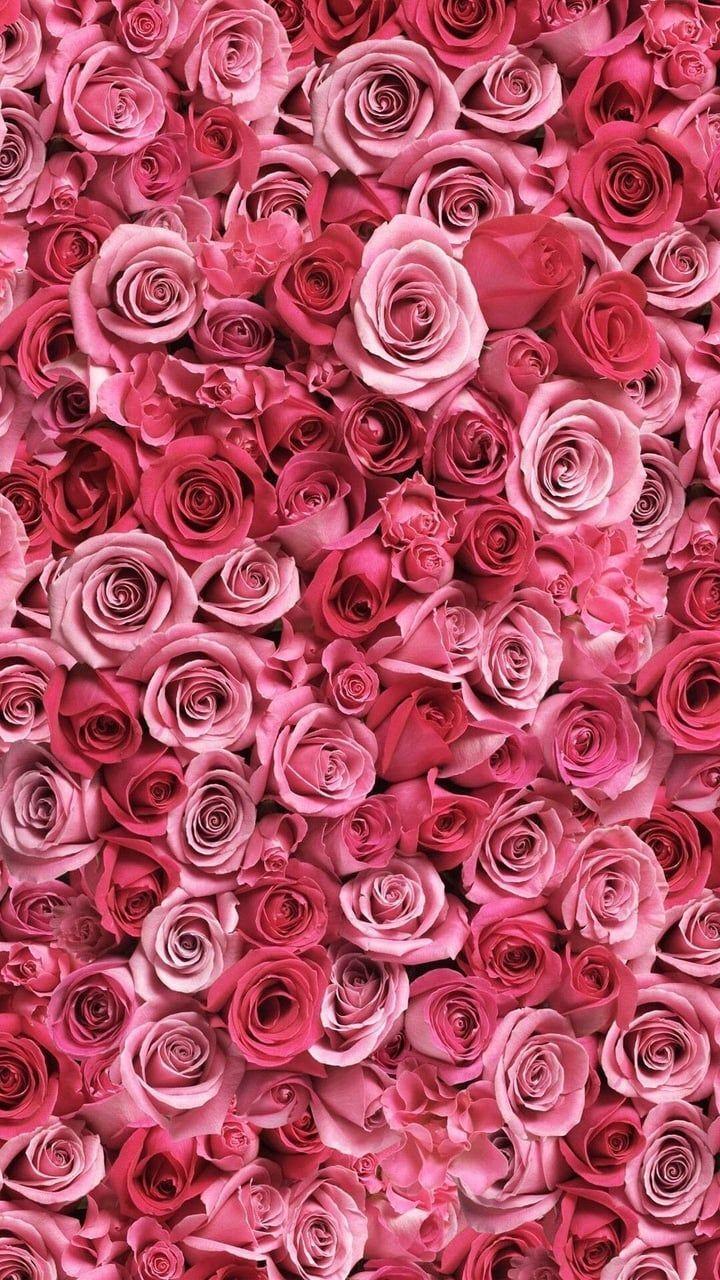 720x1280 Uploaded by Martina Sdrogo. Find image and videos about pink, flowers and red app t. Pink wall art, Art collage wall, Flower phone wallpaper