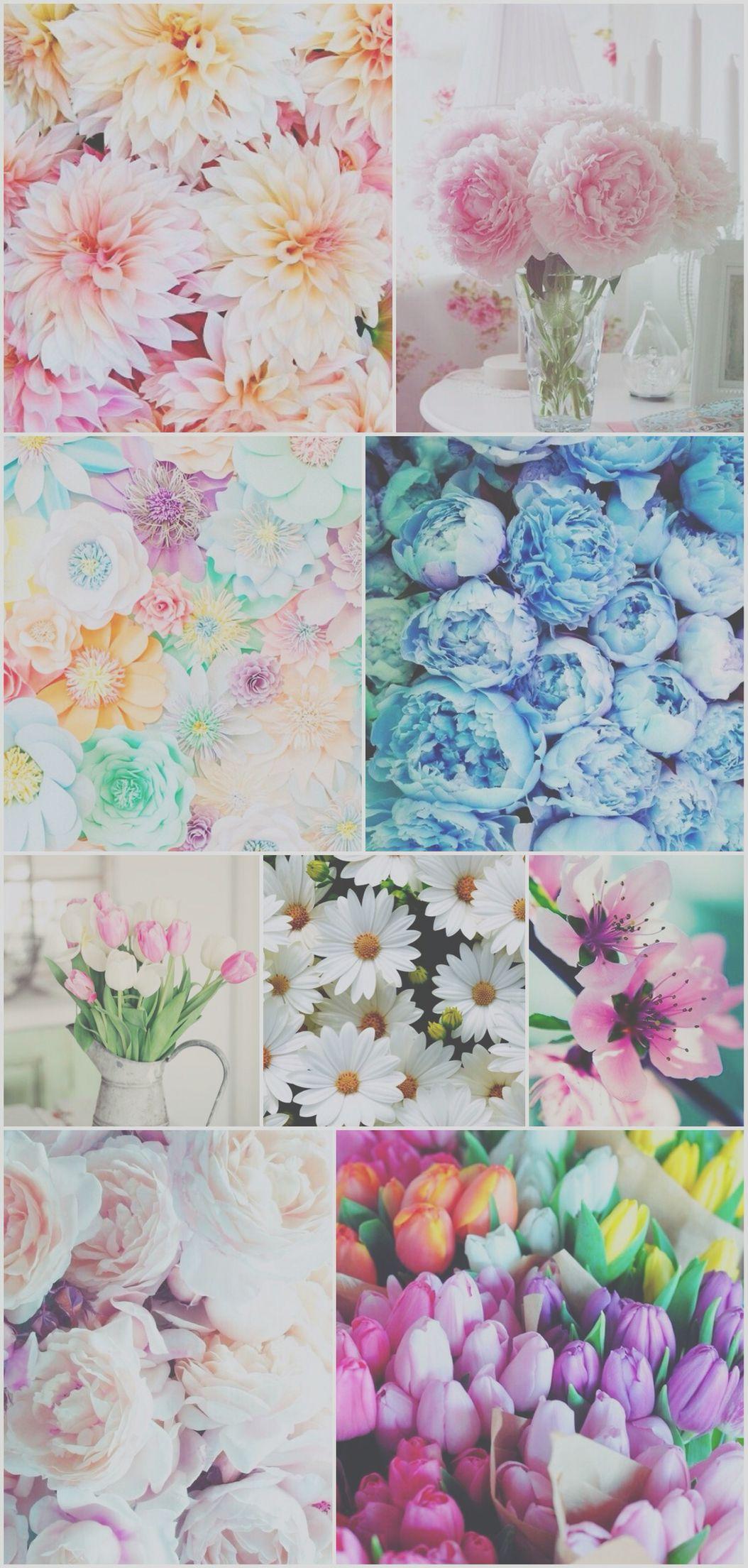 Flower Collage Wallpapers Top Free Flower Collage Backgrounds WallpaperAccess