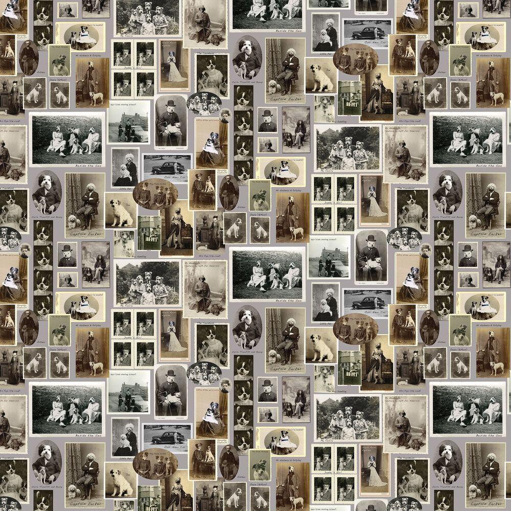 1000x1000 Jollyboy & Friends by Graduate Collection : Wallpaper Direct