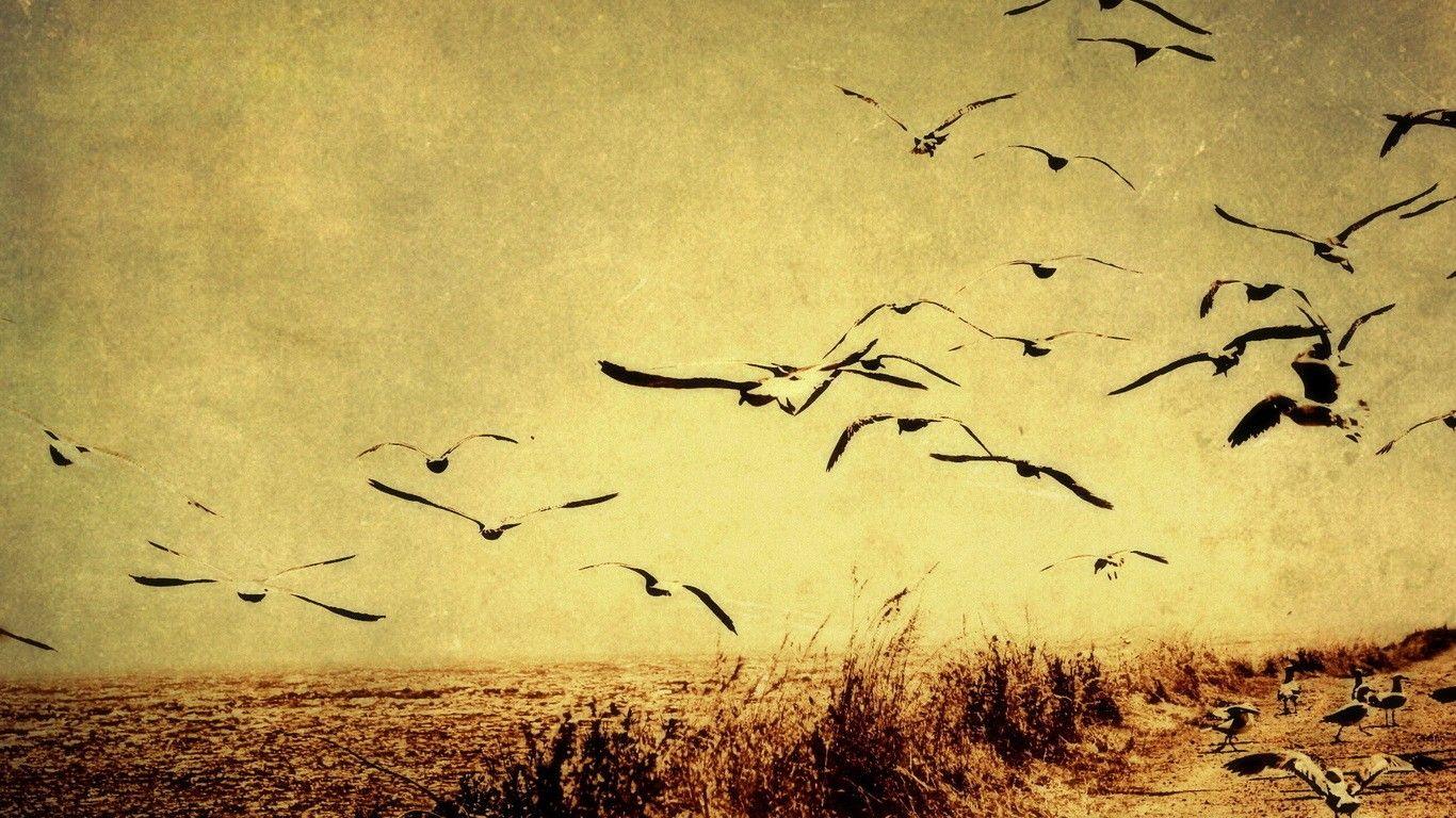 Vintage Landscape Wallpapers - Top Free Vintage Landscape Backgrounds