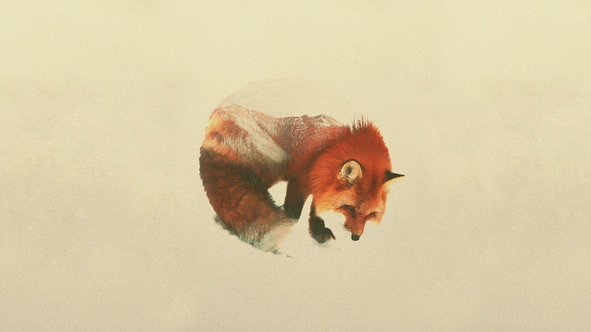1920x1080 #Andreas Lie, #double exposure, #animals wallpaper. Mocah.org HD Desktop Wallpaper