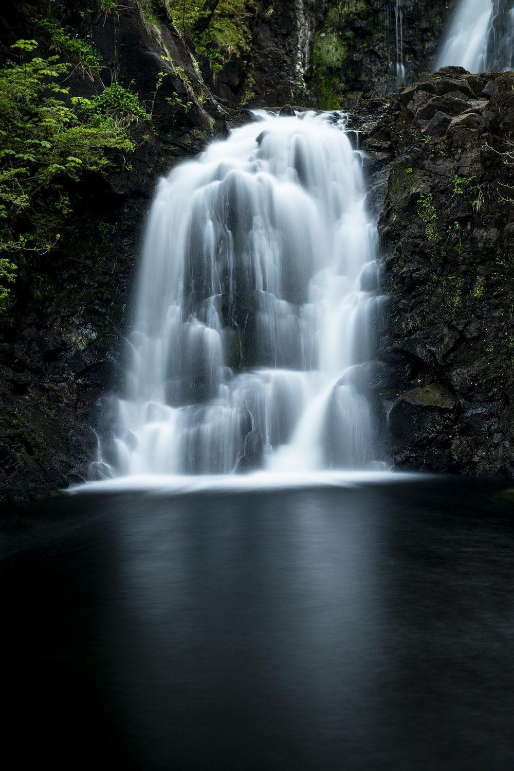 1000x1498 Forest Stream Picture. Download Free Image
