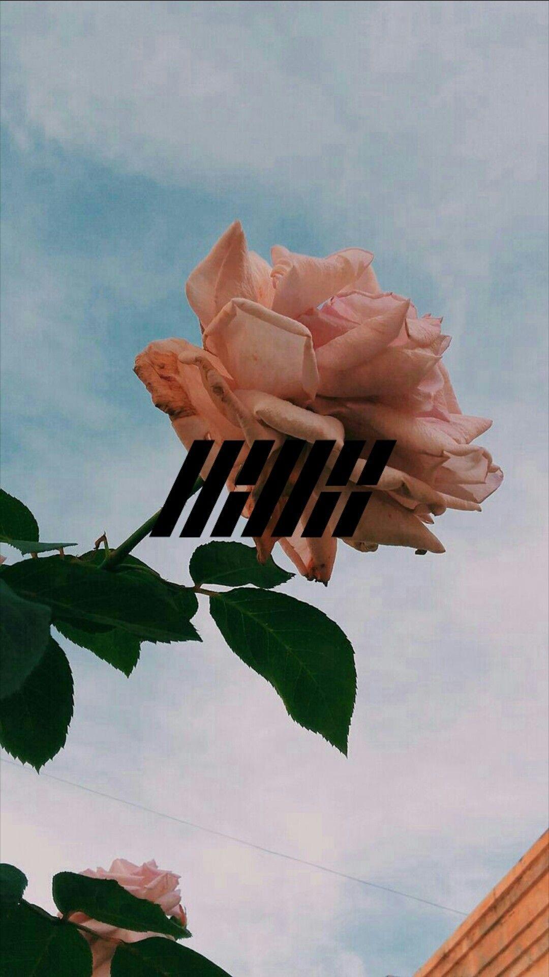 1080x1920 iPhone Ikon Wallpaper