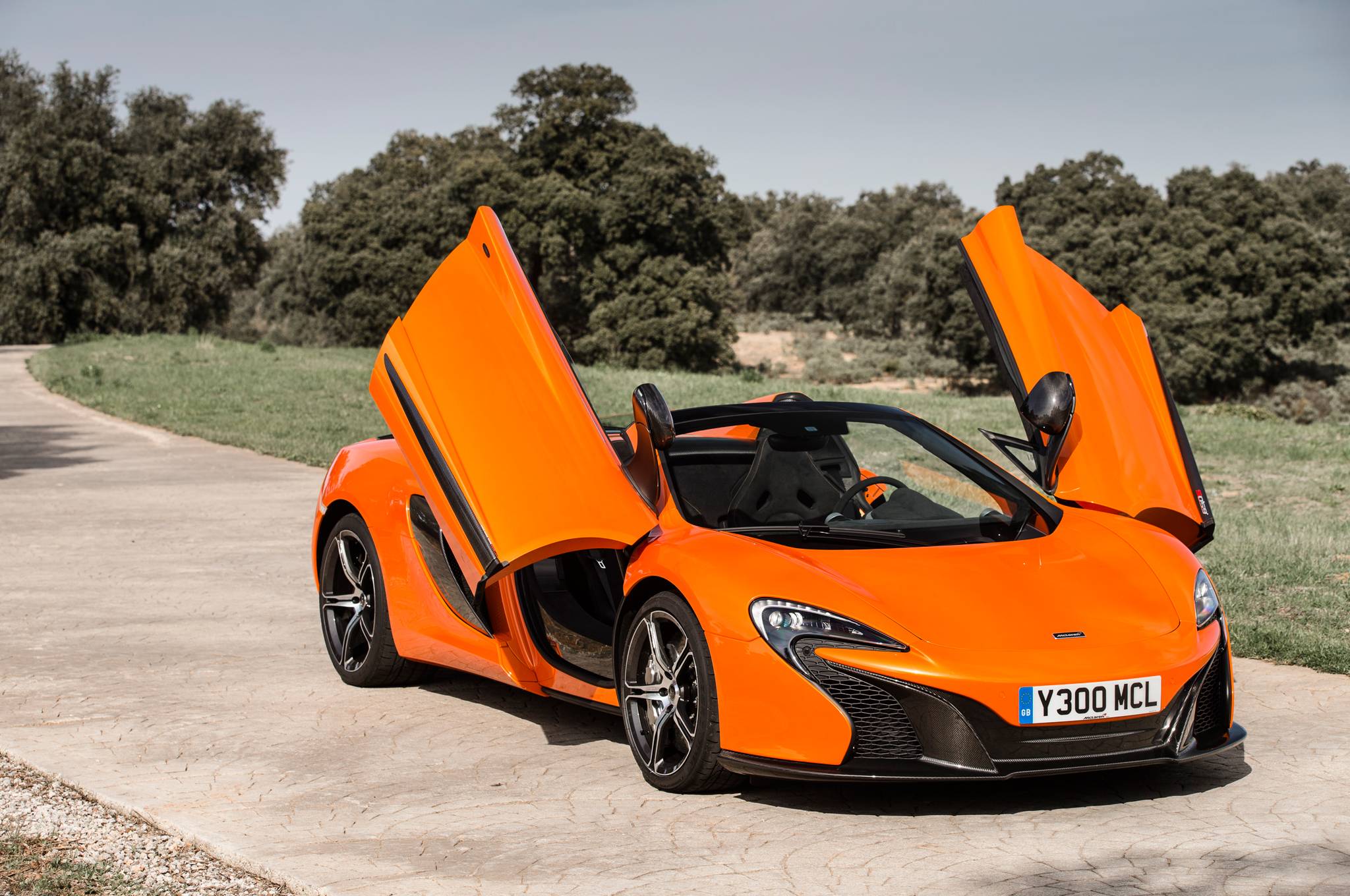2048x1360 Mclaren 650S Spider 38 Free HD Wallpaper Wallpaper Car