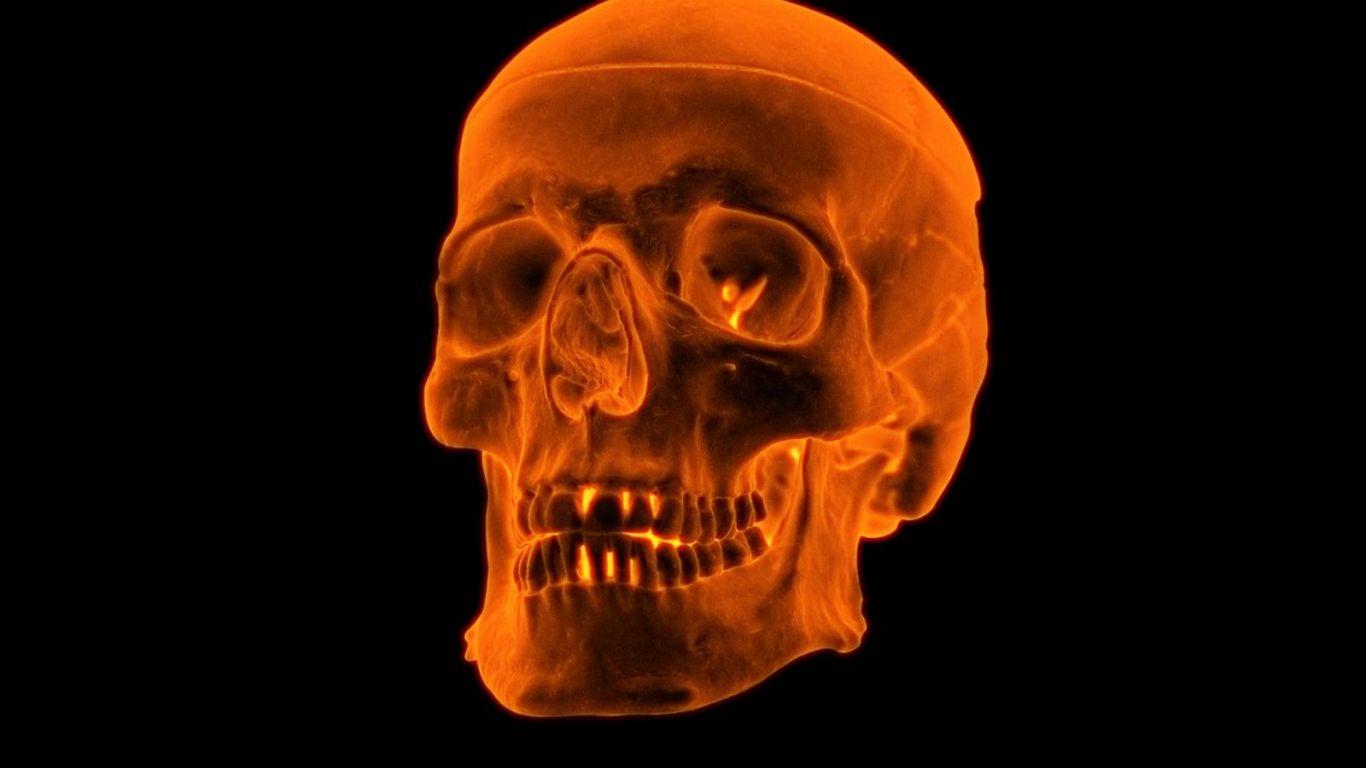 1366x768 Free download 3D Fire Skull wallpaper [1600x1000] for your Desktop, Mobile & Tablet. Explore Fire Skull Wallpaper. Skulls Wallpaper Free, Live Skull Wallpaper for PC, Blue Fire Skull Wallpaper