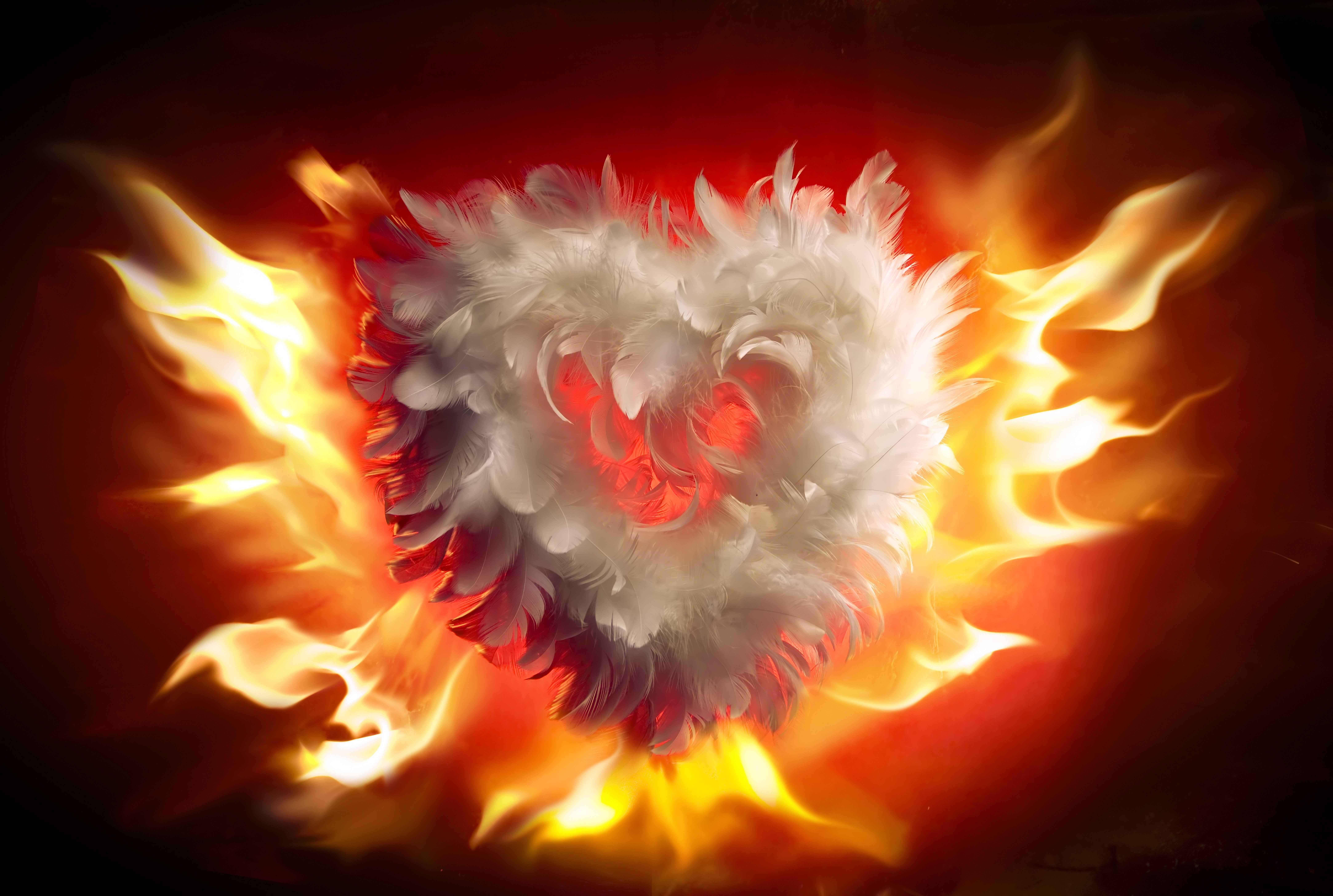 8662x5824 arts, Fire, Valentines, Day, Heart, Love, Flames, Heart Wallpaper HD / Desktop and Mobile Background