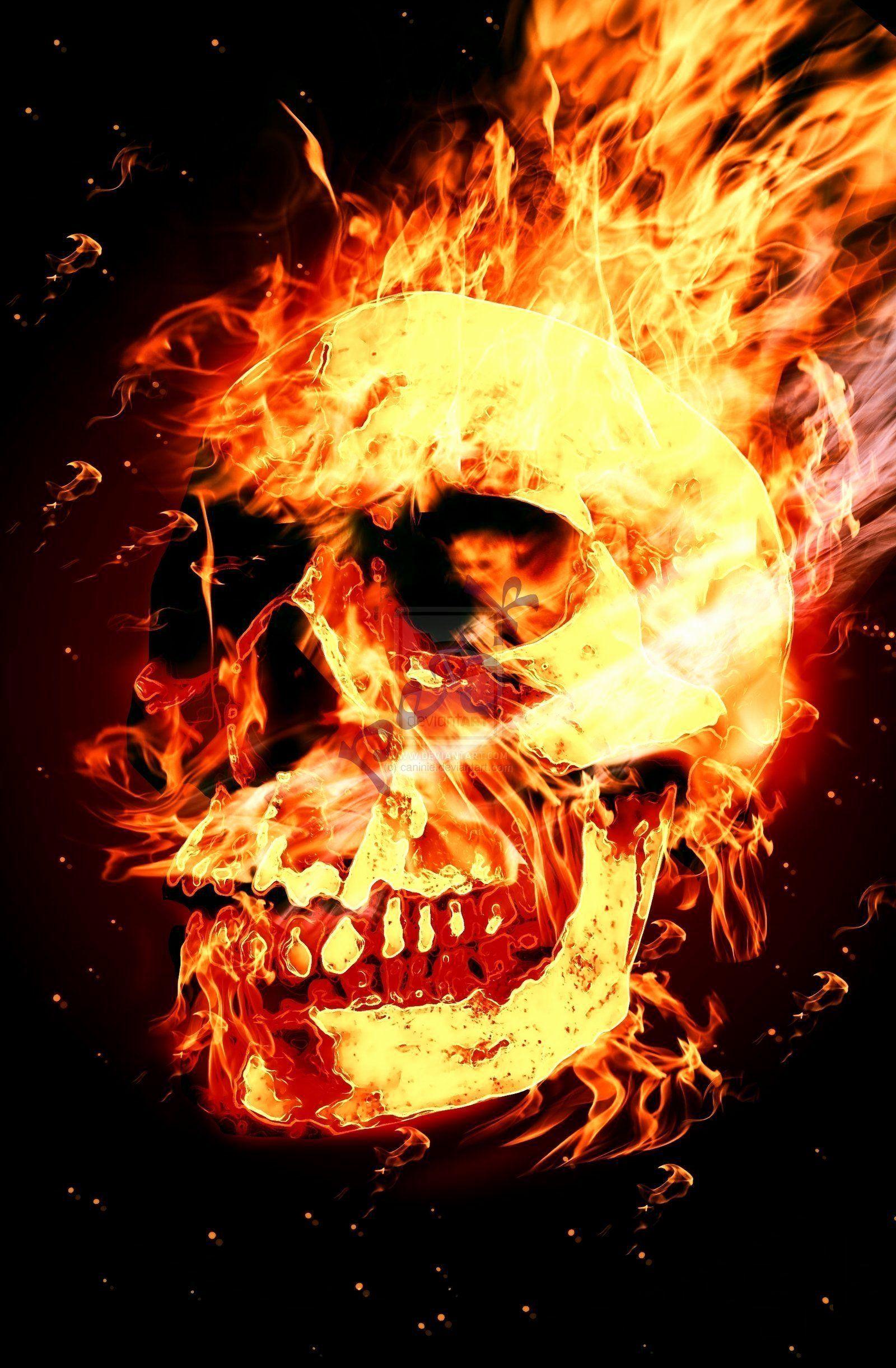 1600x2442 Awesome Fire Skull Wallpaper Ideas of The Hudson