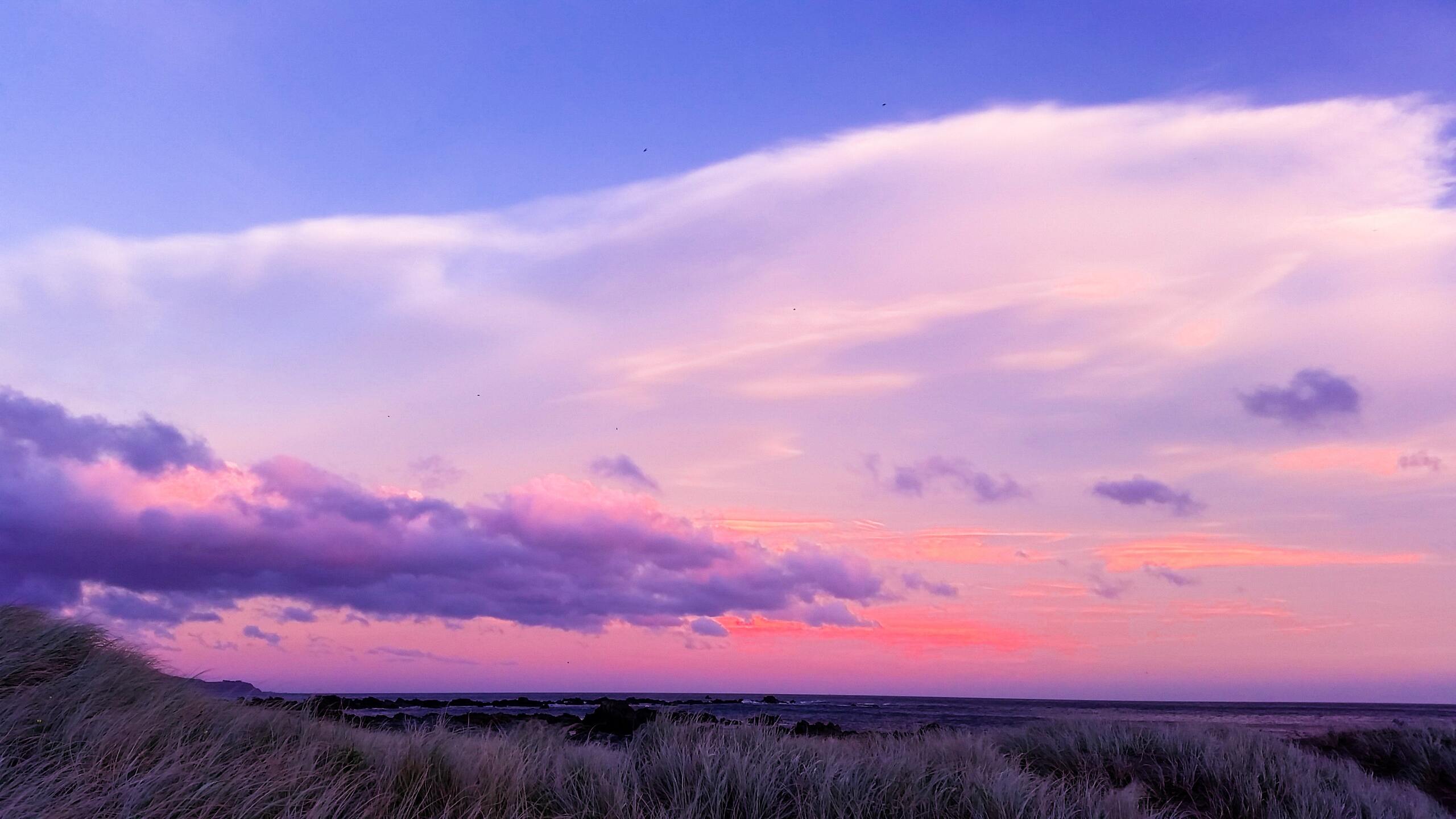 2560x1440 Cloudy Sky Evening Sky 4k 1440P Resolution HD 4k Wallpaper, Image, Background, Photo and Picture