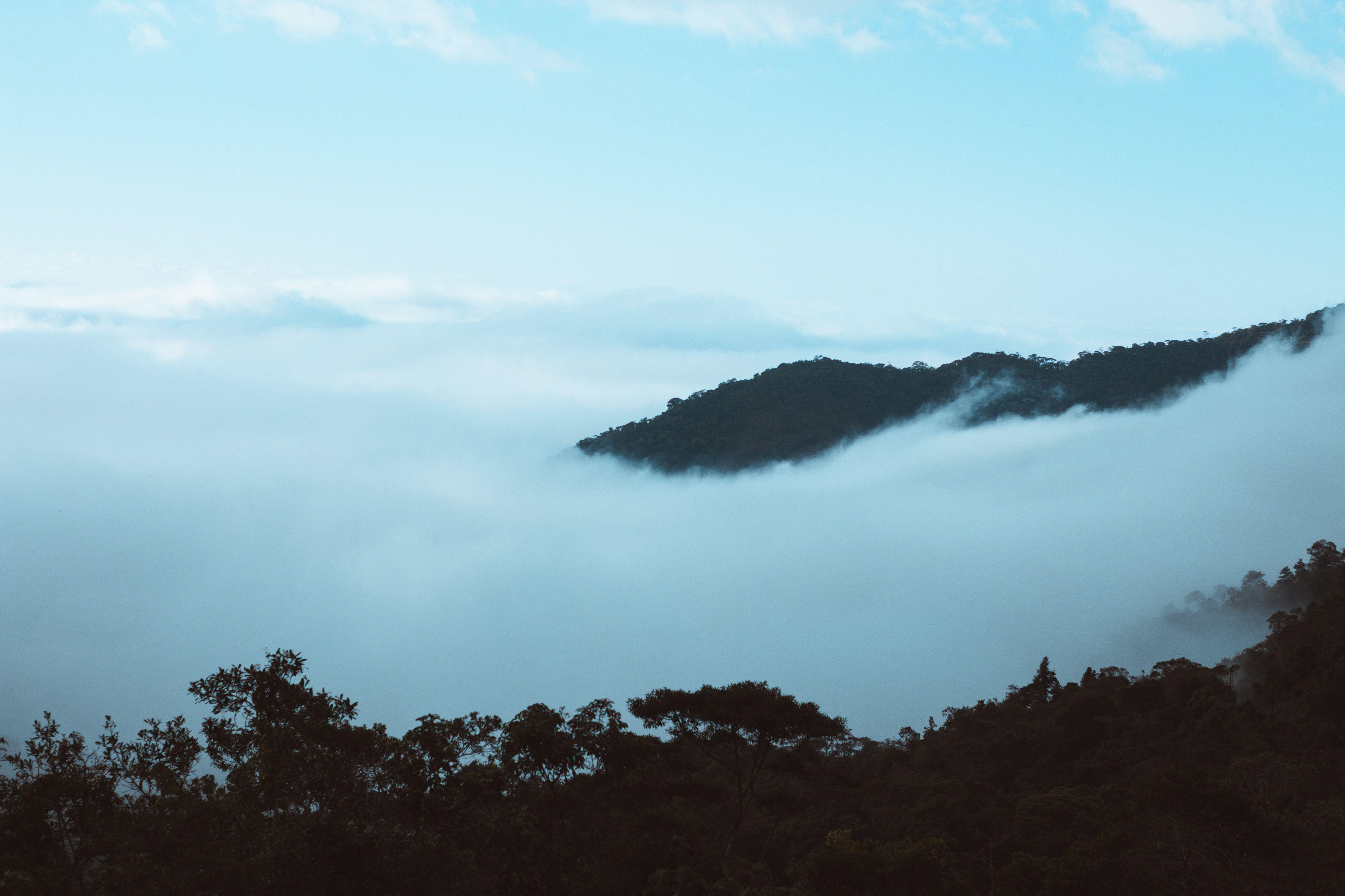 5184x3456 5184x3456 #Free image, #fog, #mountain, #morning, #cloud, #winter, #blue, #tree, #cloudy, #nature, #cold, #blue sky. Mocah.org HD Wallpaper