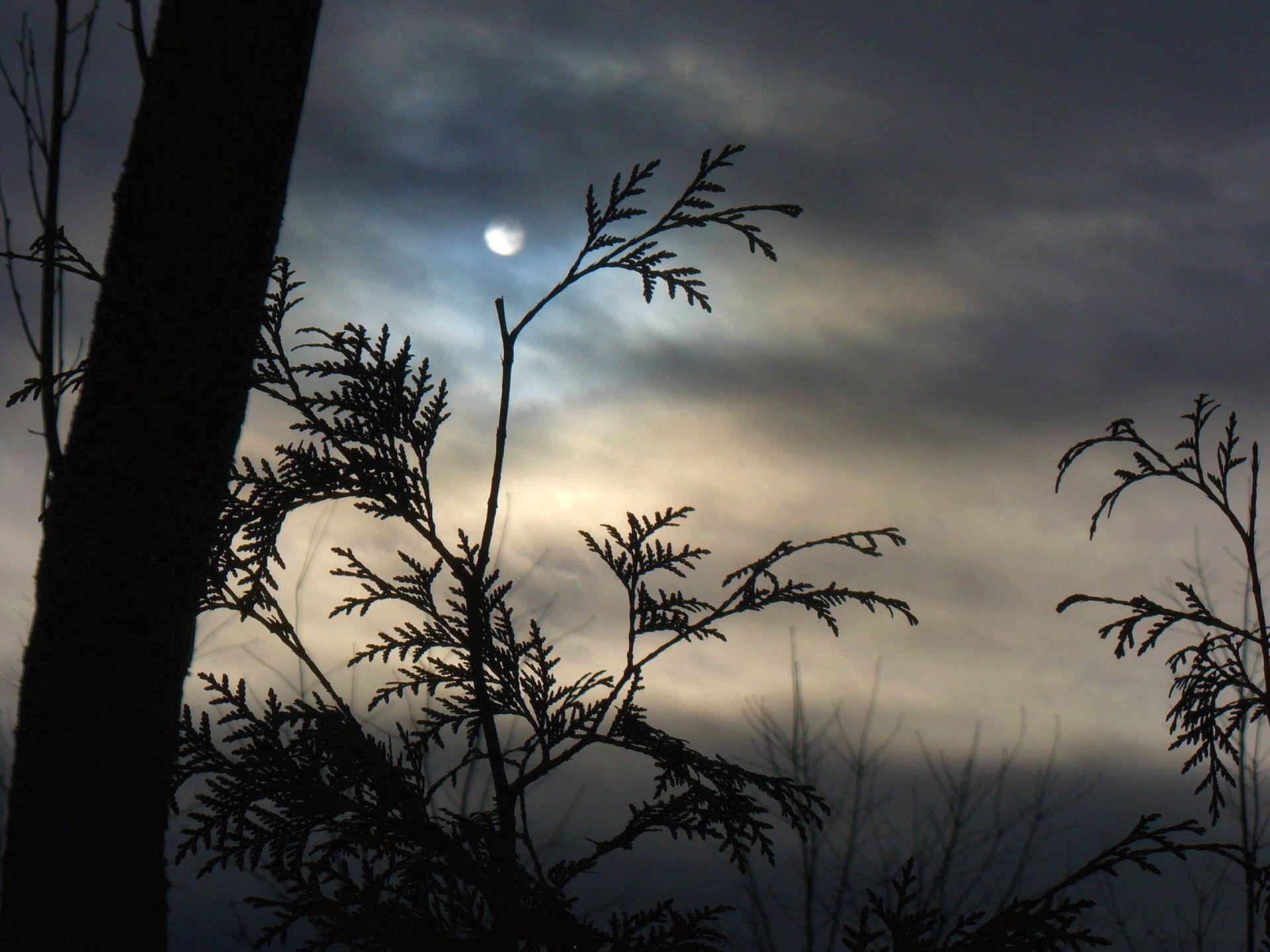 1920x1440 Cloudy weather wallpaper and image, picture, photo