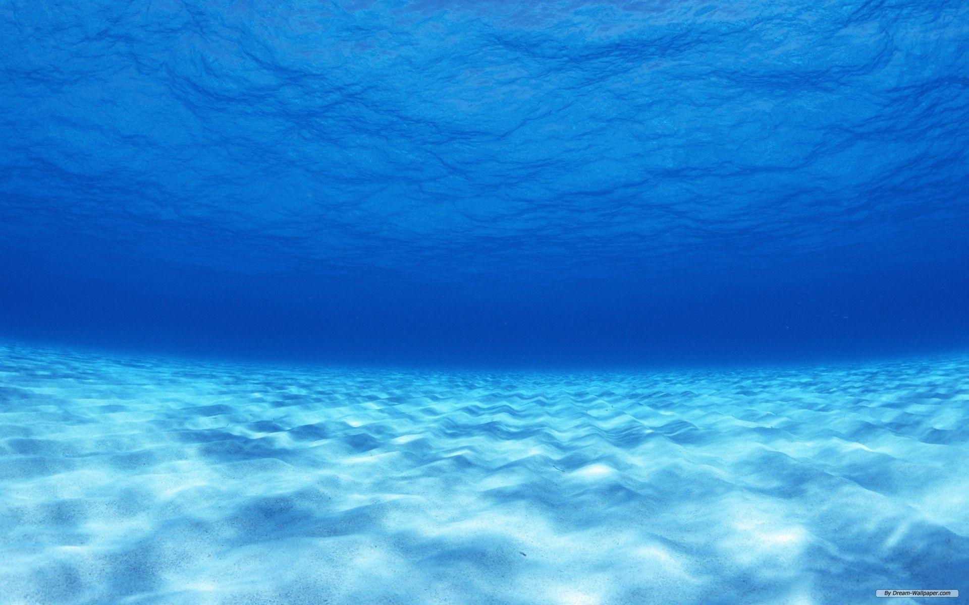 1920x1200 Free download Nature wallpaper Clear Water And Blue Sky 1 wallpaper [1920x1200] for your Desktop, Mobile & Tablet. Explore Free Aquatic Wallpaper. Free Water Wallpaper, Water Desktop Wallpaper, Water Picture Wallpaper