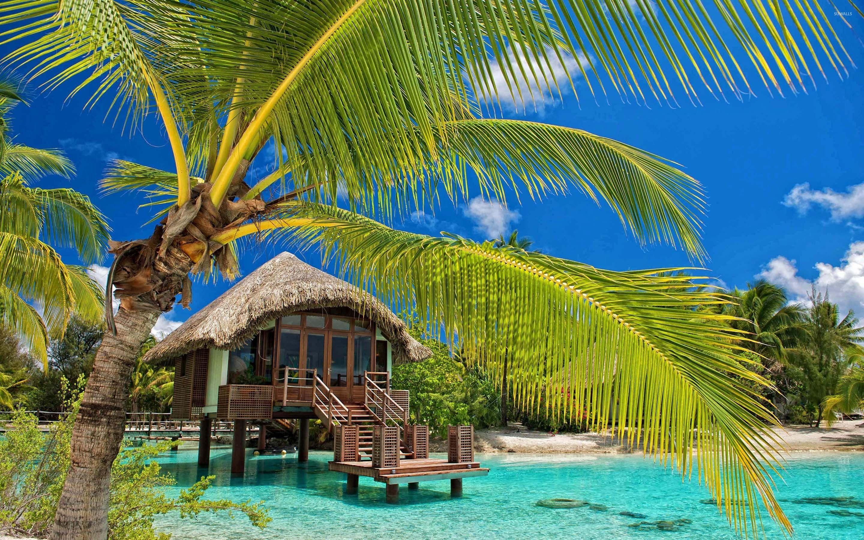 2880x1800 Hut in the water by the palm trees wallpaper wallpaper