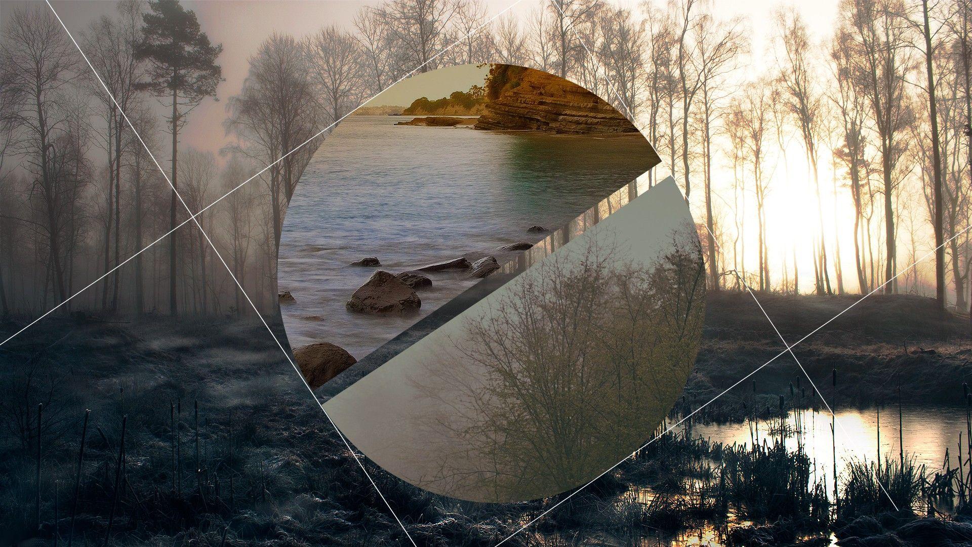1920x1080 #digital art, #forest, #polyscape, #lines, #trees, #water, wallpaper. Mocah.org HD Desktop Wallpaper