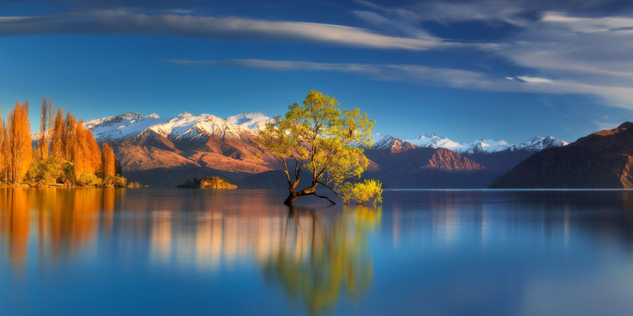 2160x1080 Tree In Center Of Lake Reflection In Water, HD Nature, 4k Wallpaper, Image, Background, Photo and Picture
